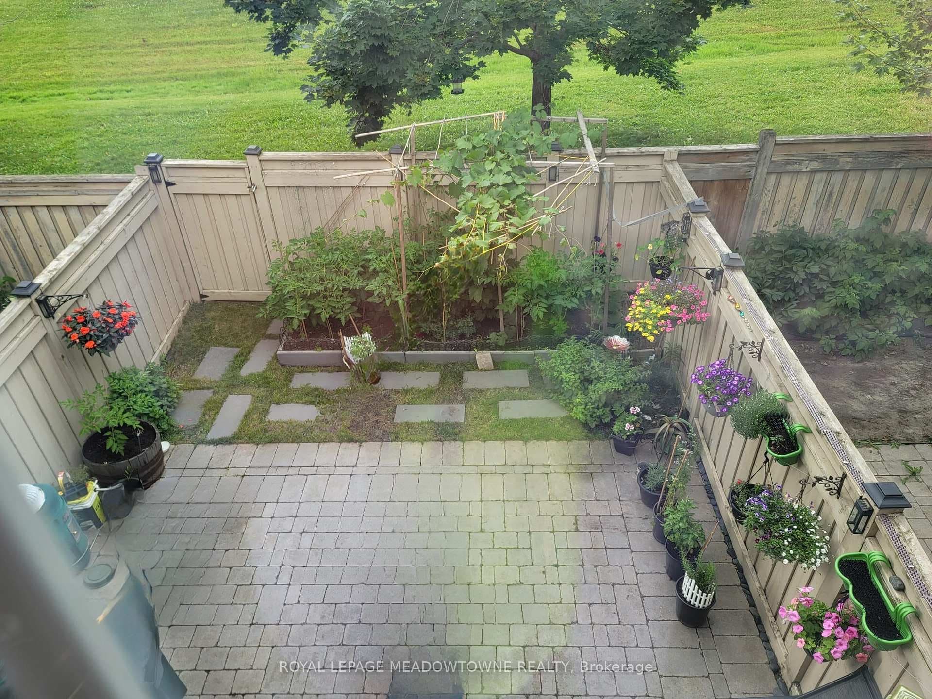 Backyard during Spring