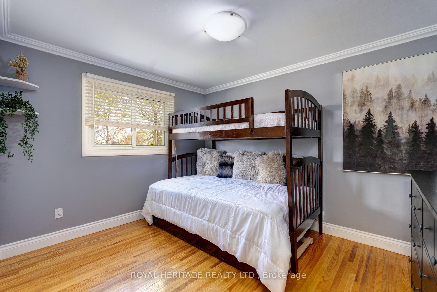 799 Oliva Street photo 23