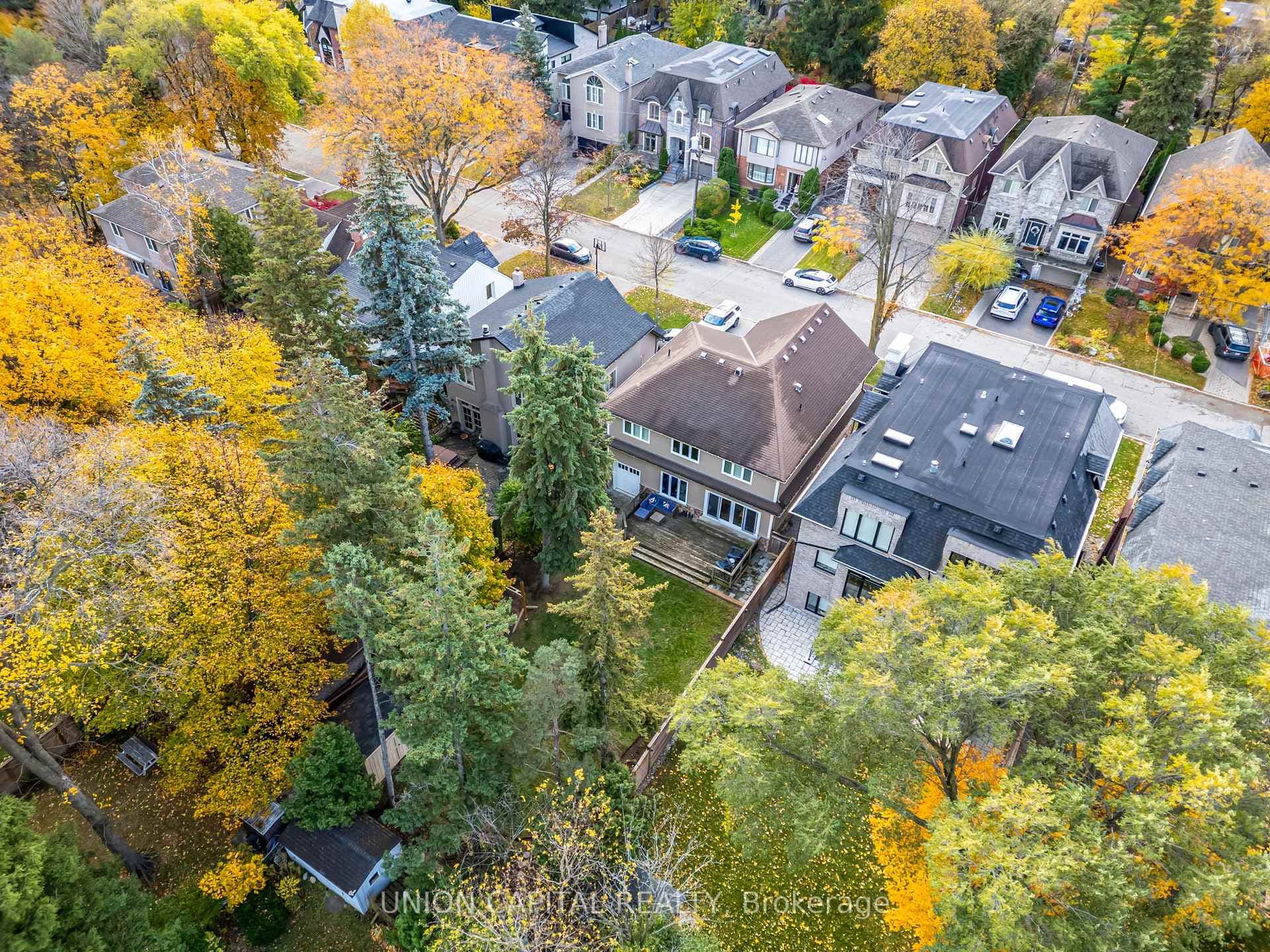 58 Stuart Avenue photo 11