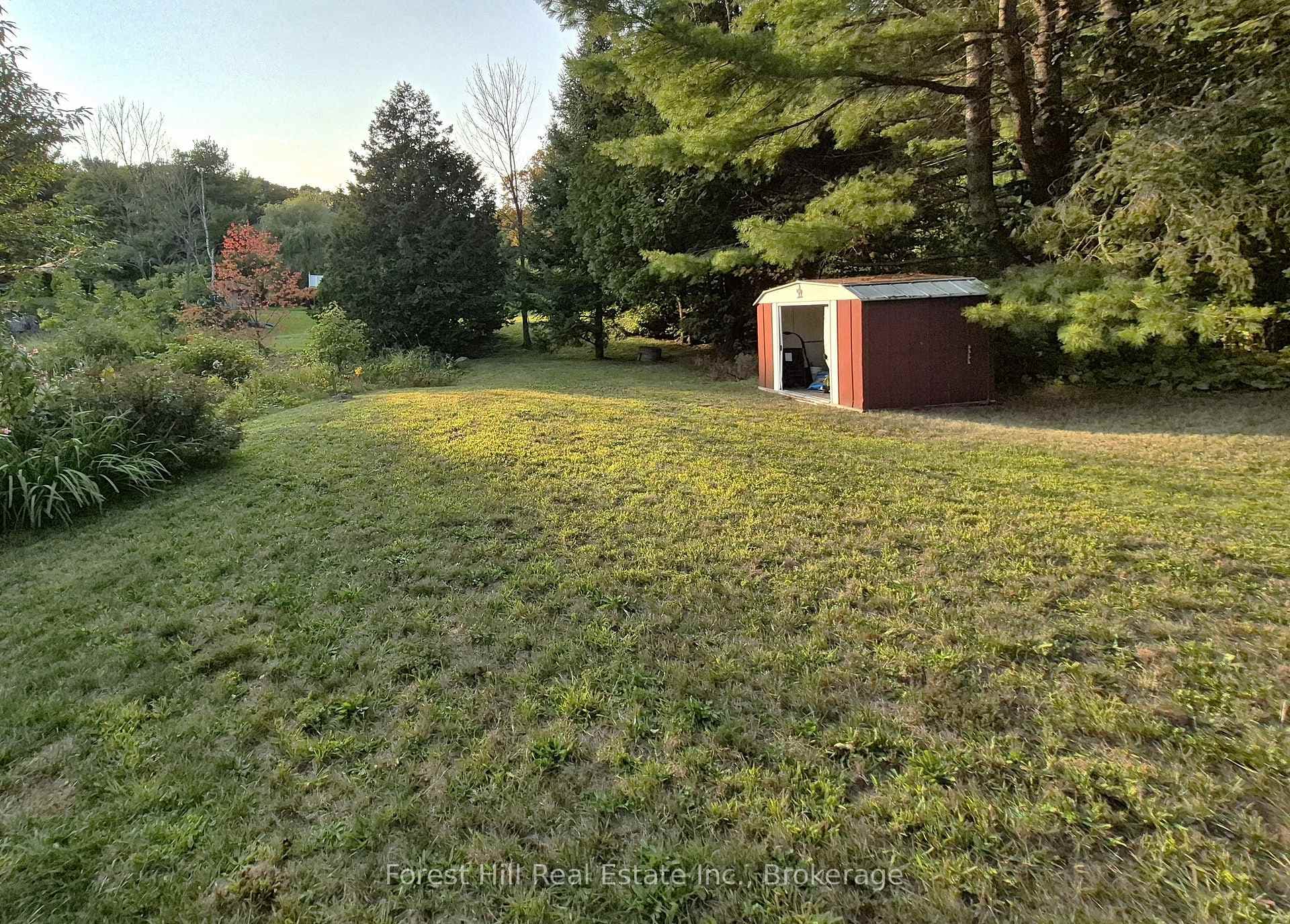 large level side yard