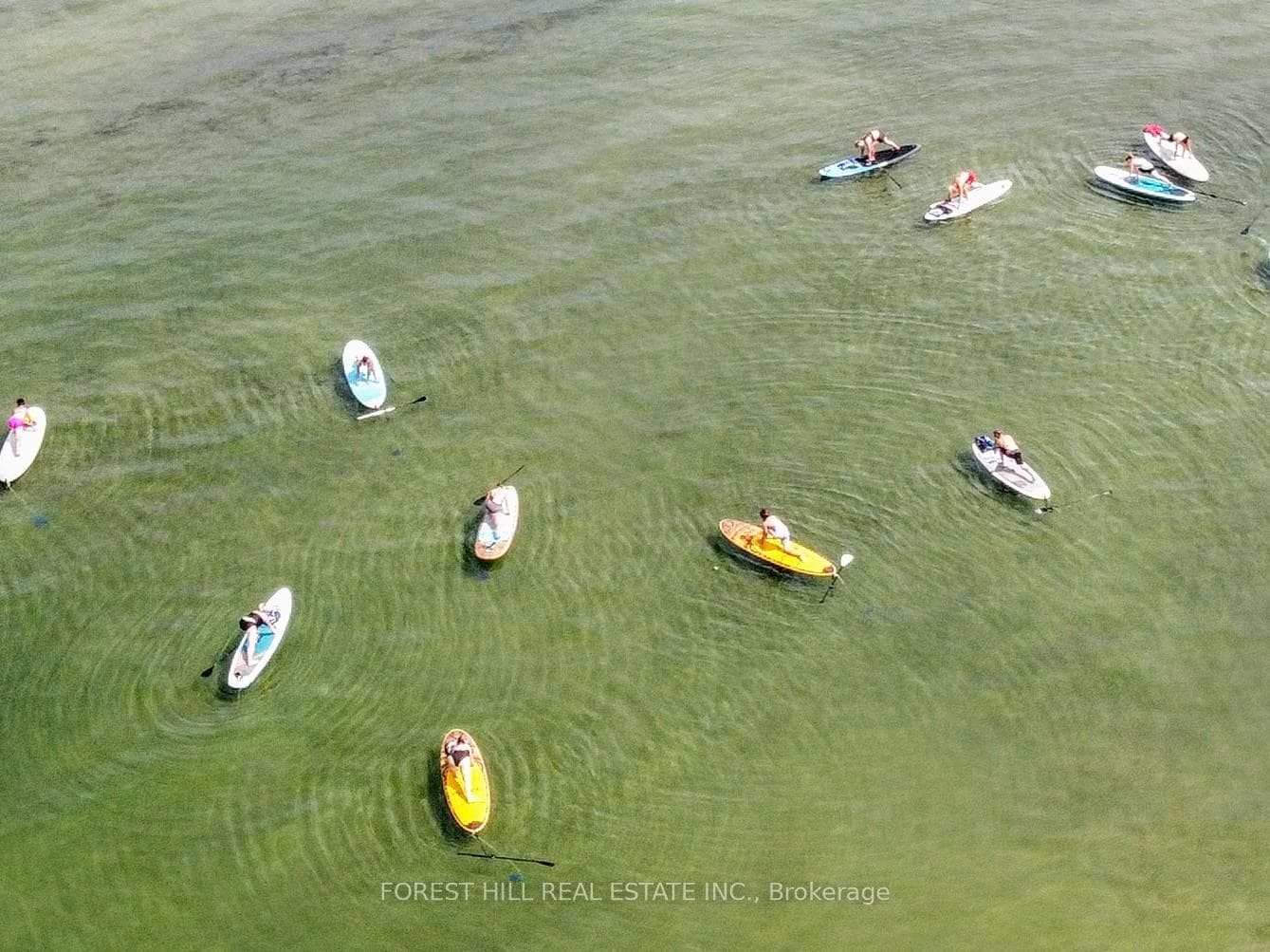 Lagoon City Paddle Board Yoga