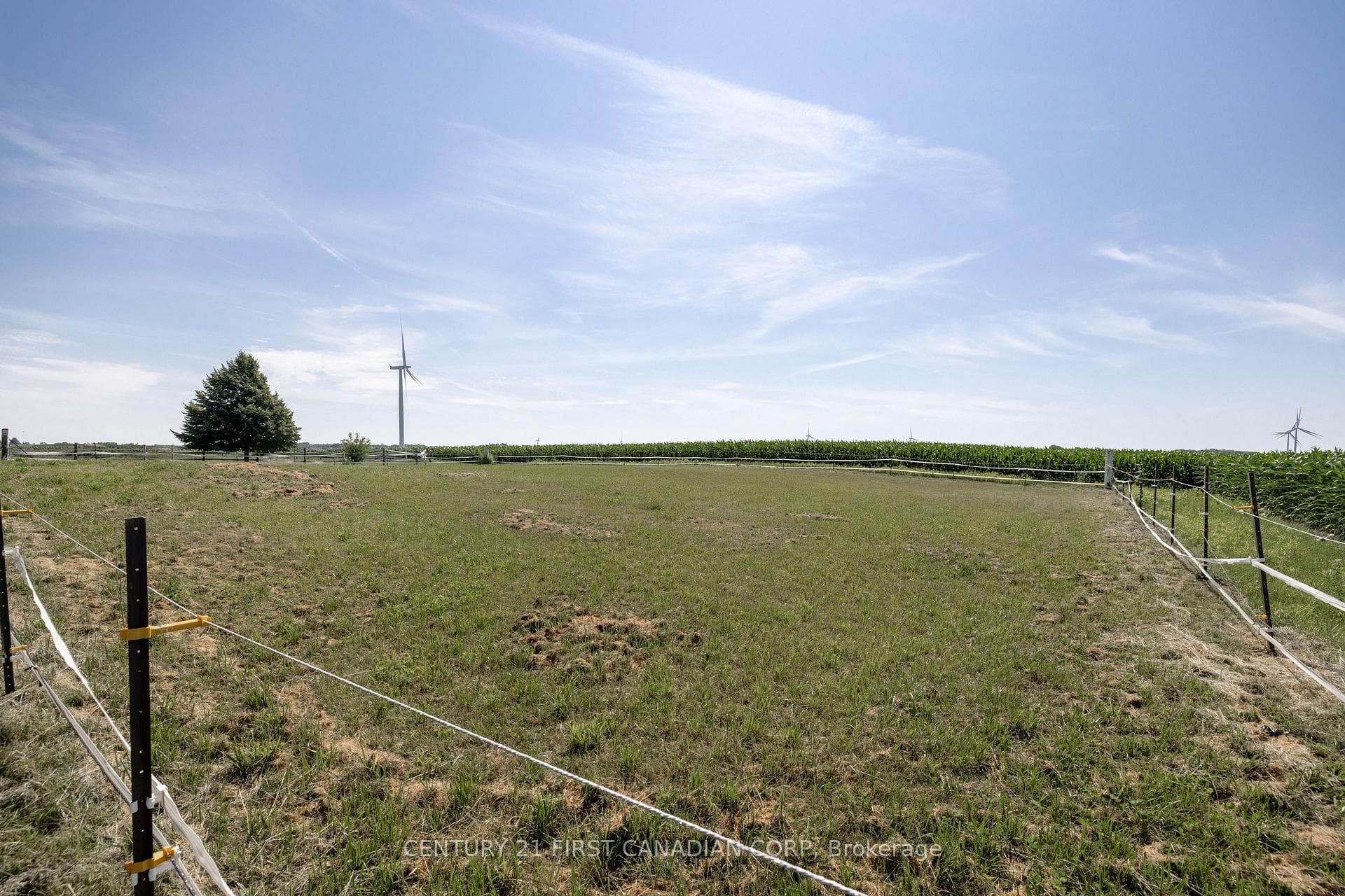 14004 Cleeves Line photo 10