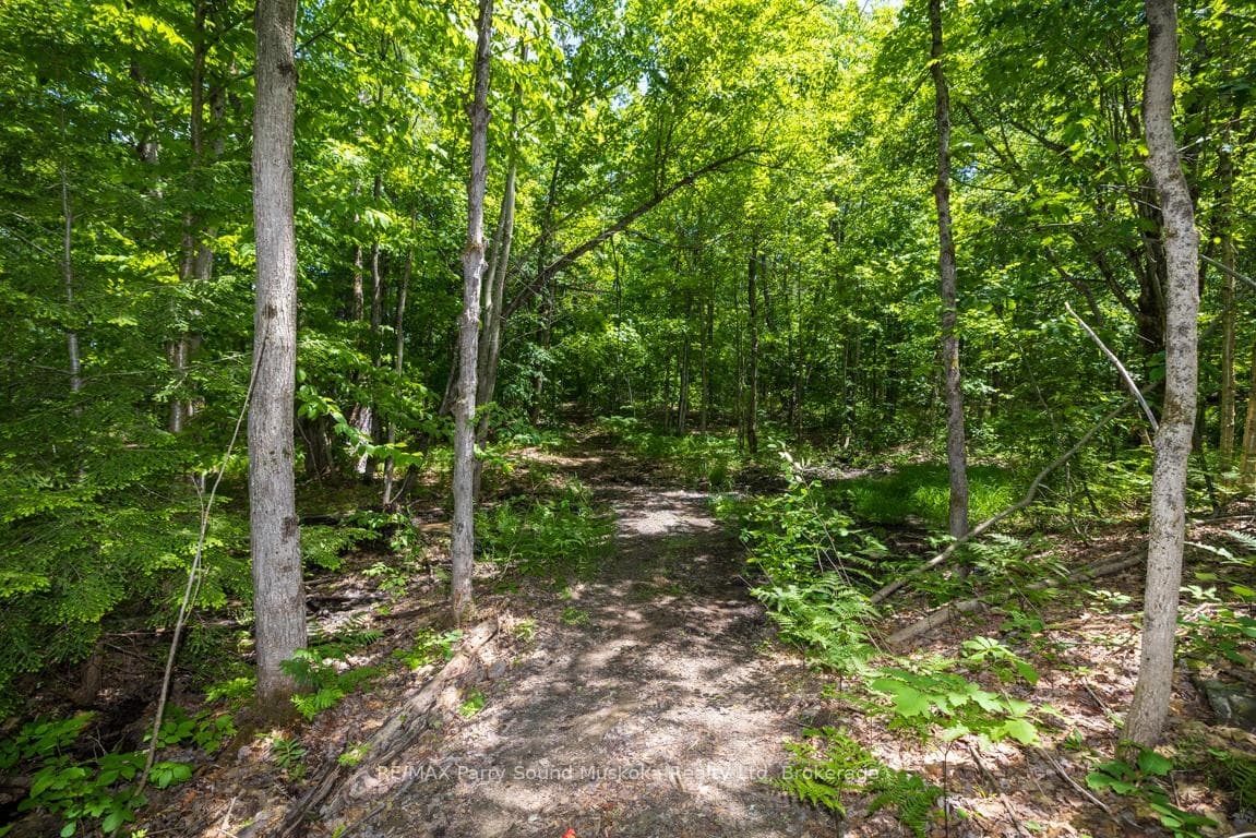 Private trails throughout