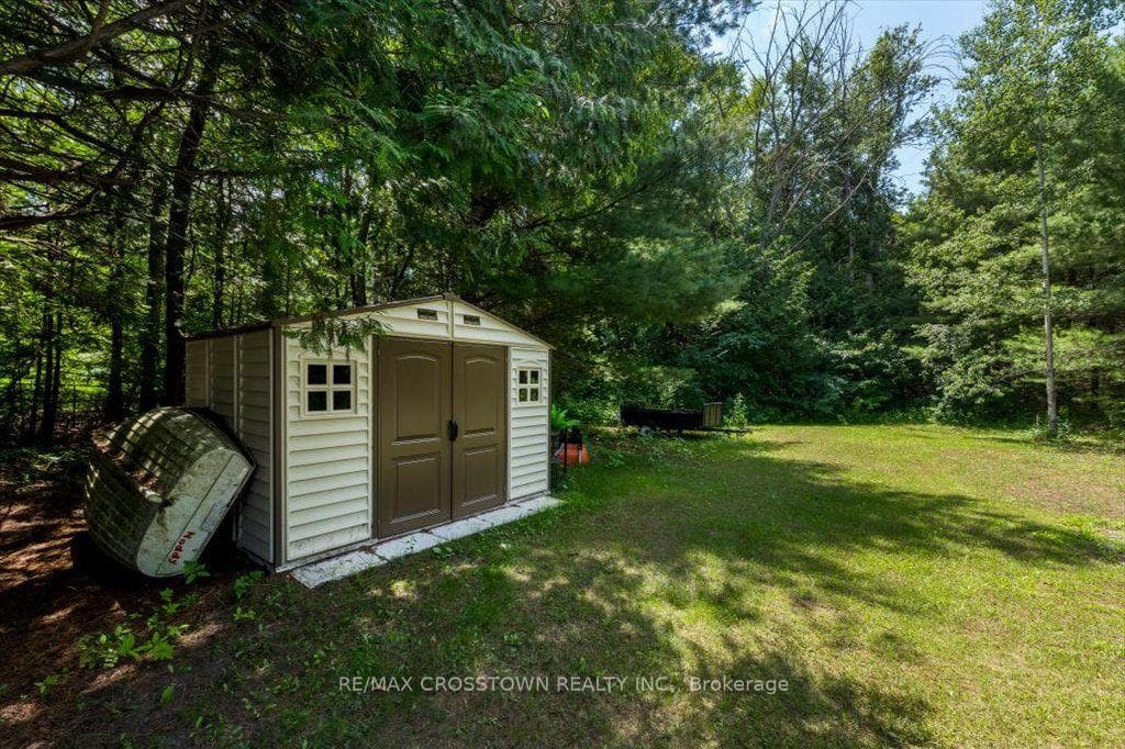 Rear yard shed