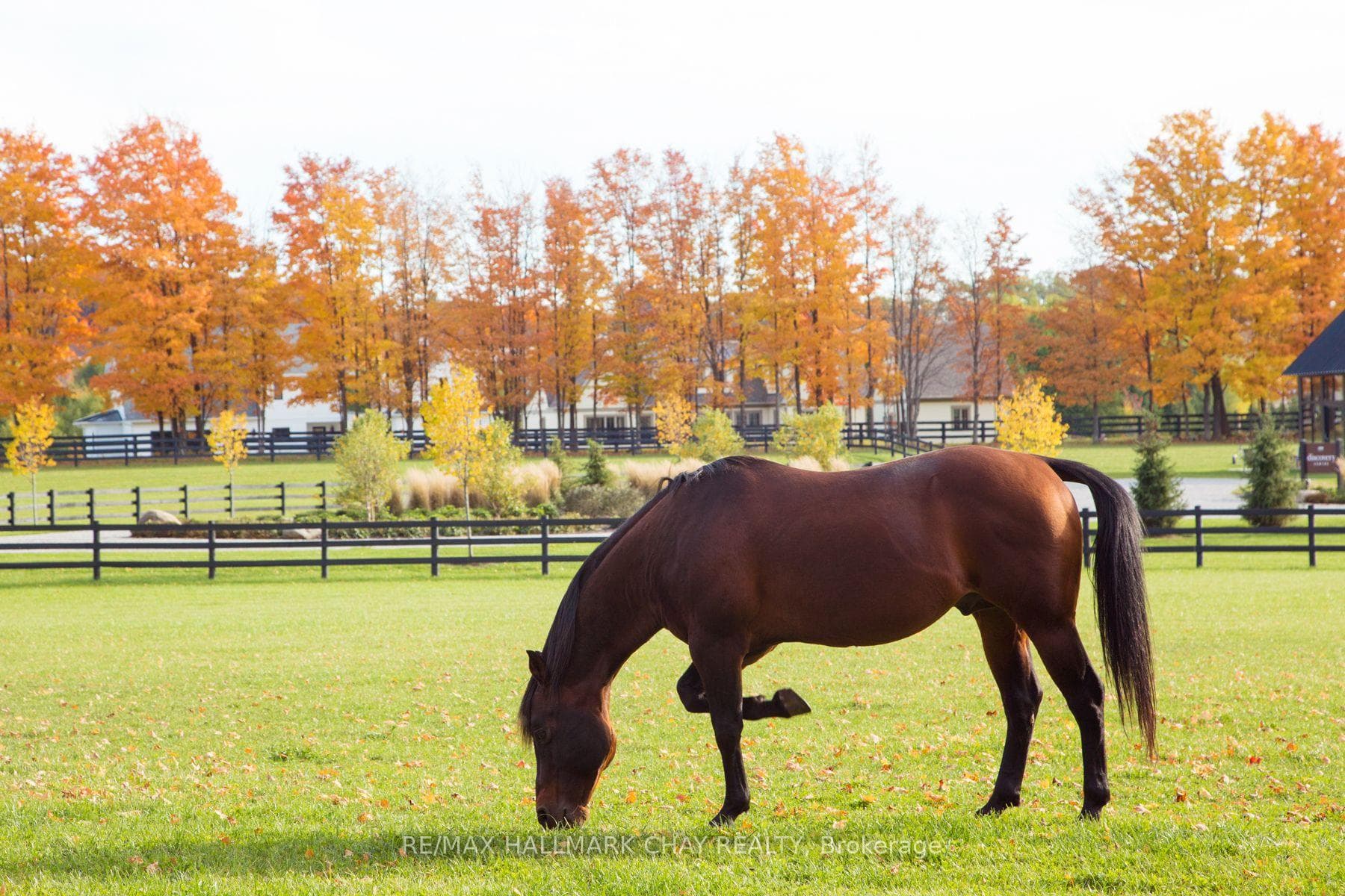 Paddocks