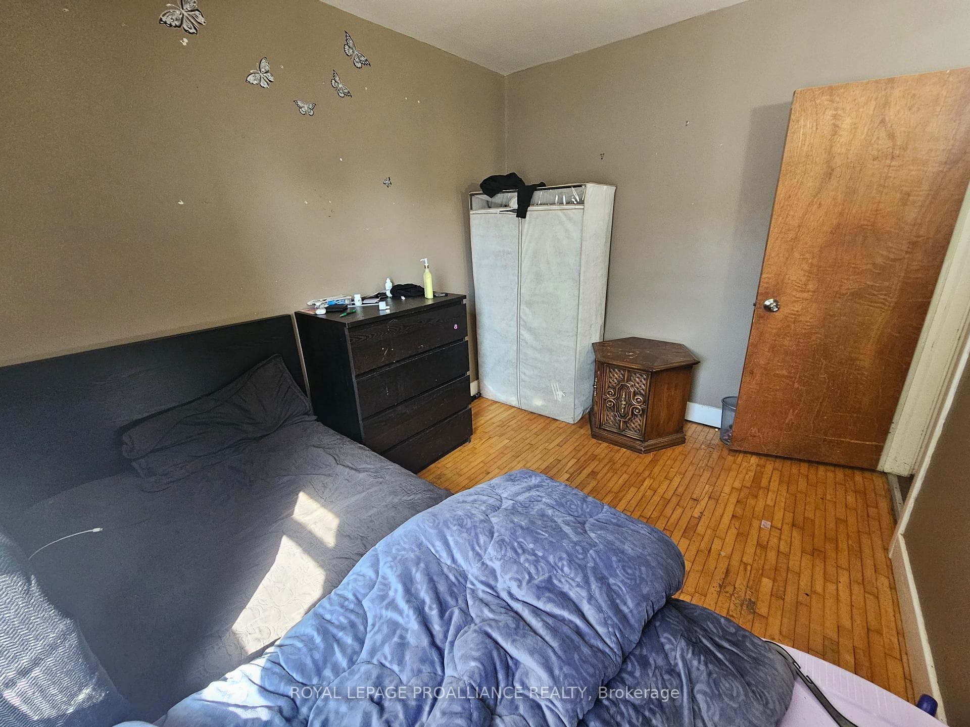 462 Sidney Street photo 5