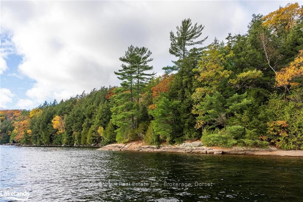 16750 KAWAGAMA LAKE N/A photo 43