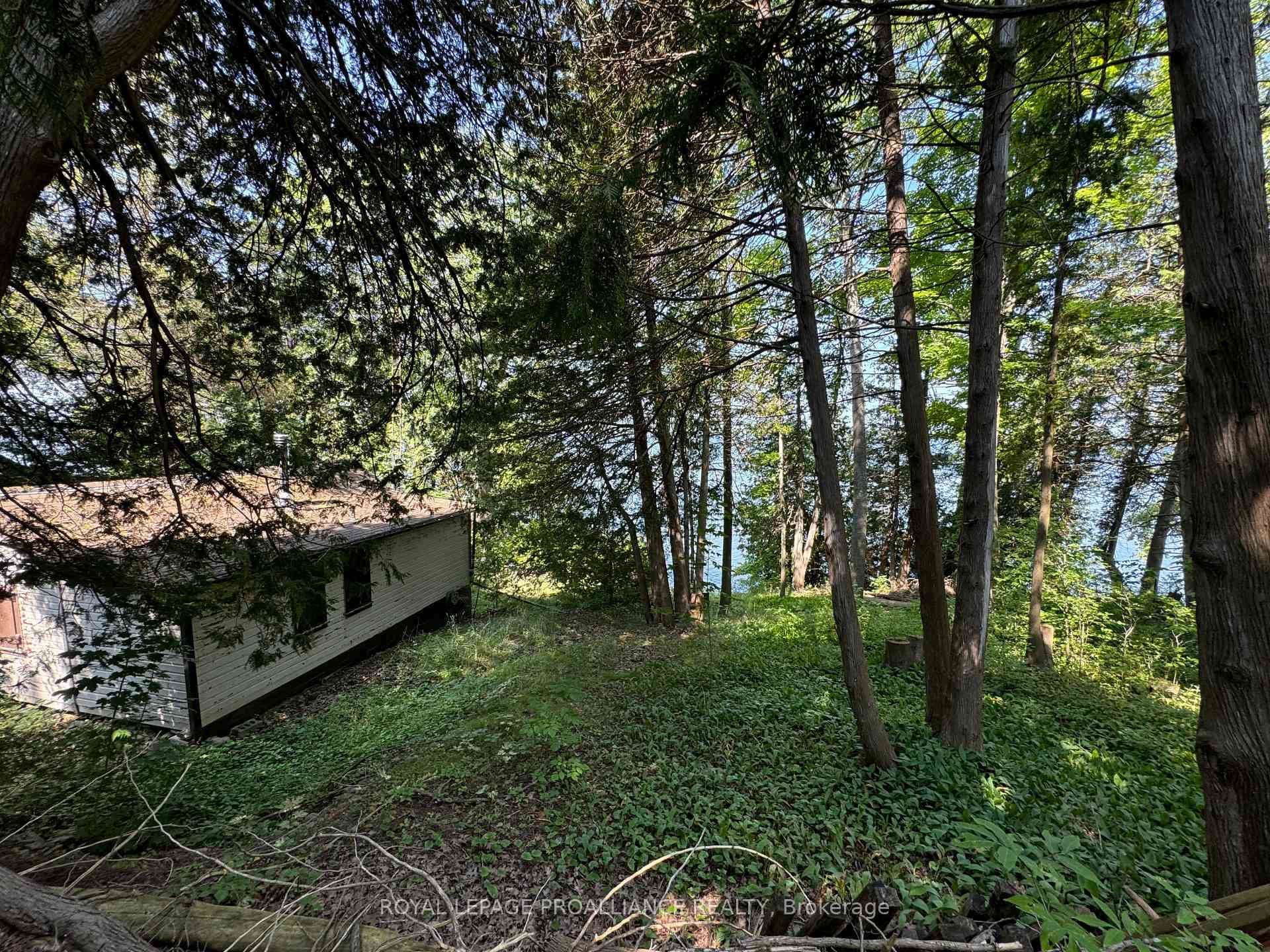 1026 Merrill Road Unit 11 photo 35
