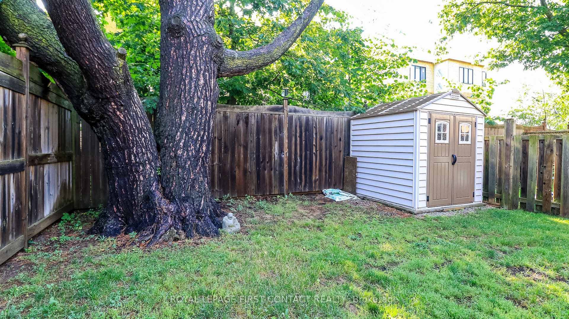 79 Winchester Terrace photo 36