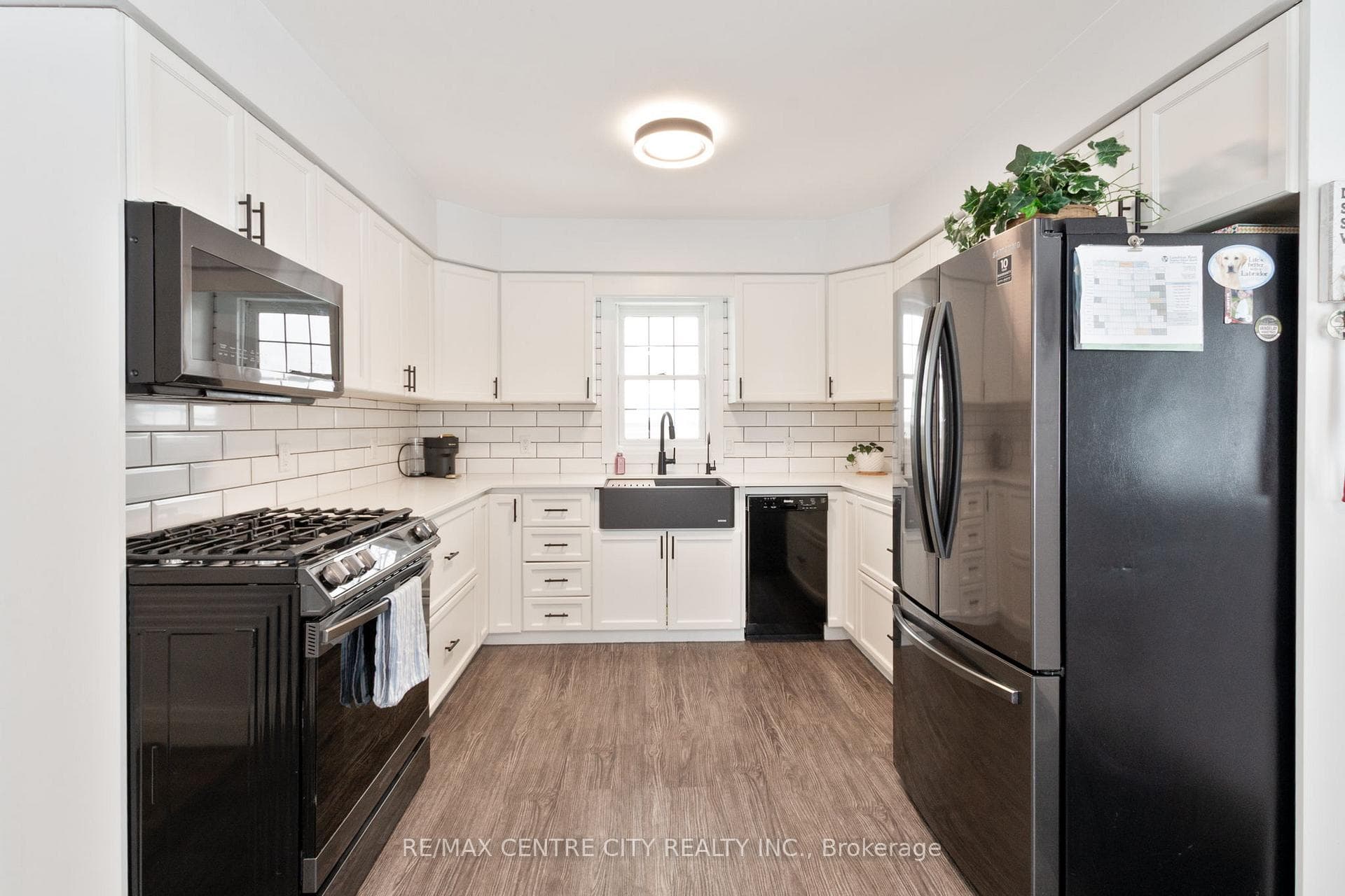 245 Elm Street photo 31