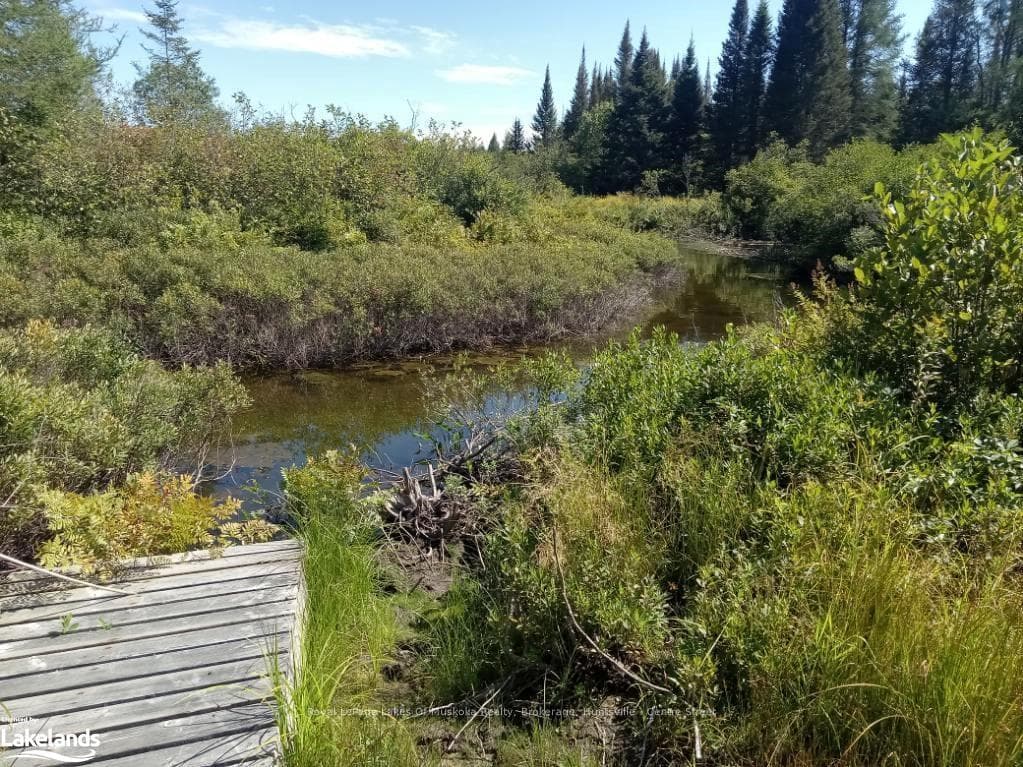 573 MUSKOKA Road photo 3