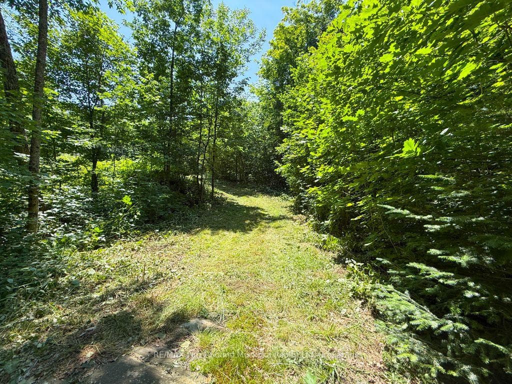 17 White Beaver Trail photo 3