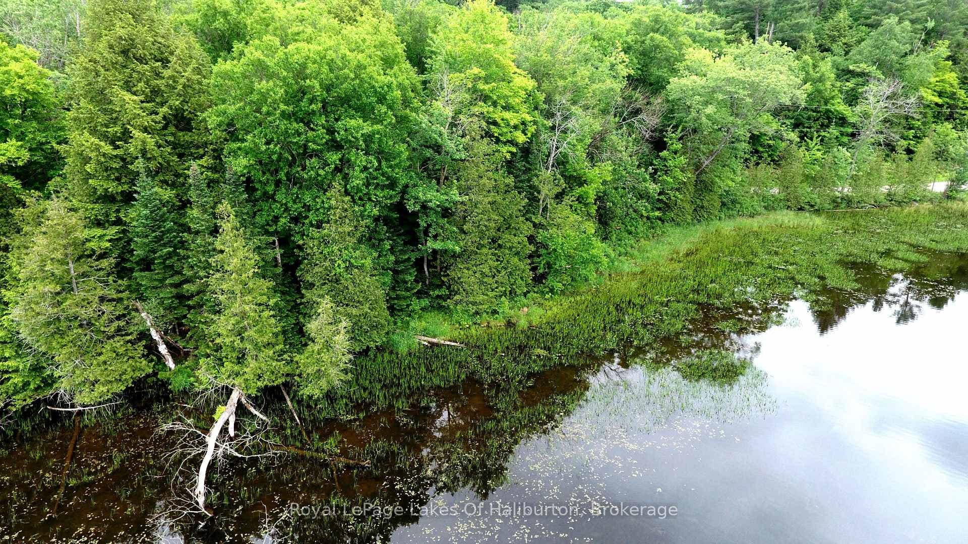 0 SOUTH BEAVER LAKE Lane photo 9