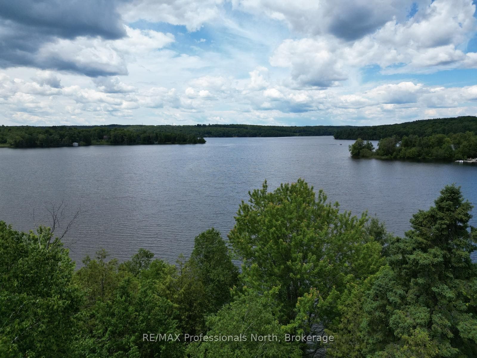 2397 Kashagawigamog Lake Road photo 3