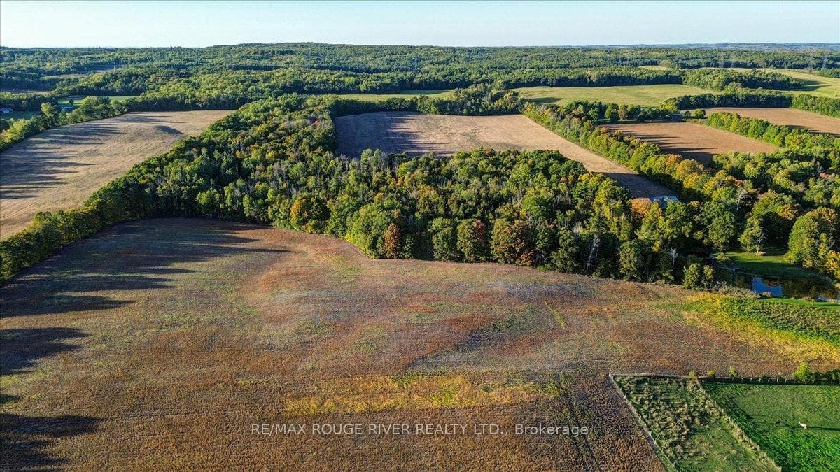 190 McBride Road photo 4