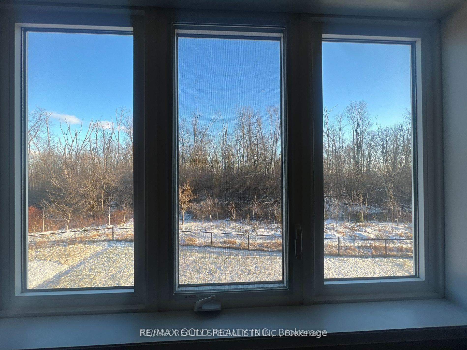 Window View