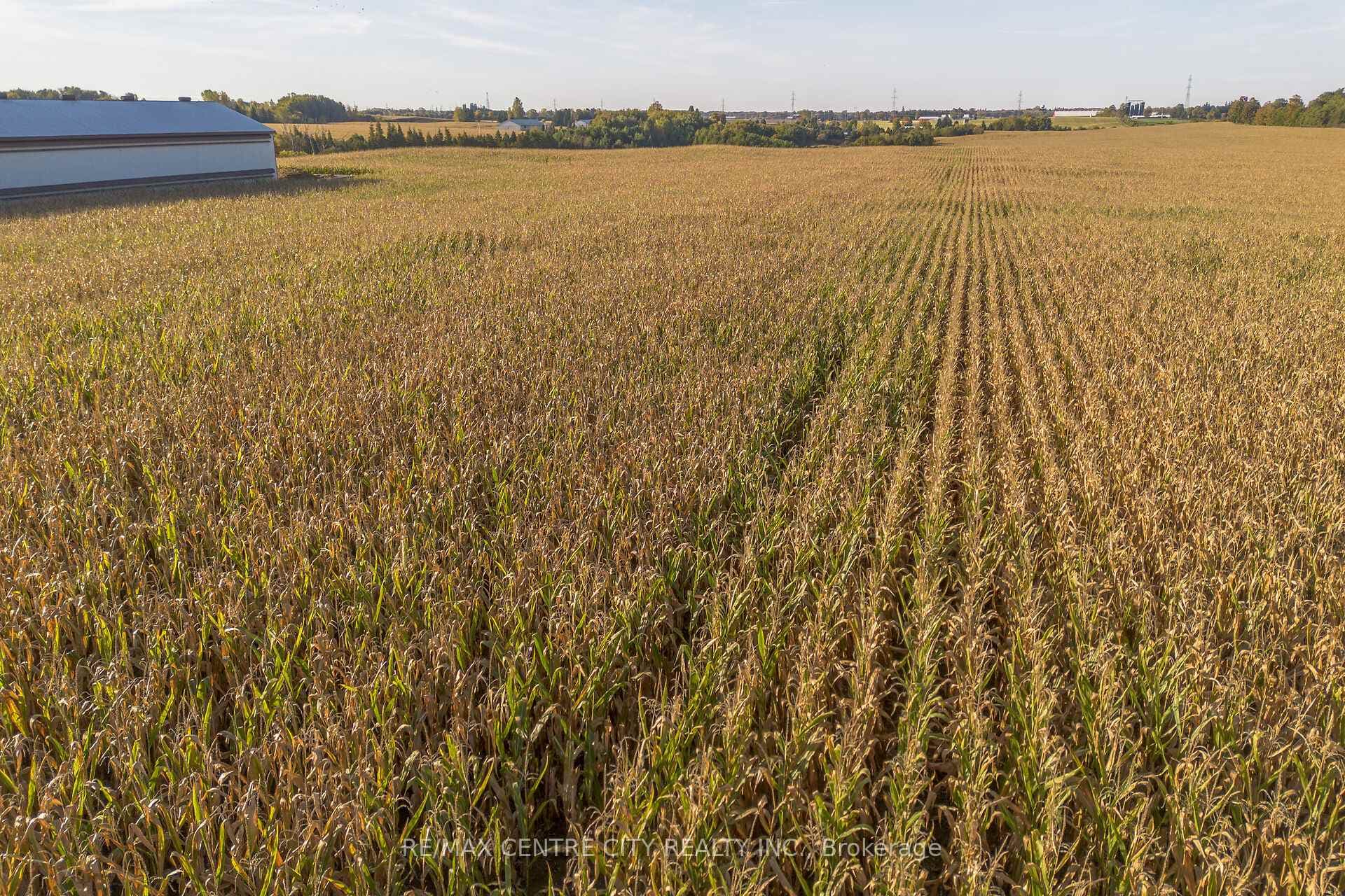 42783 Bridge Road photo 27