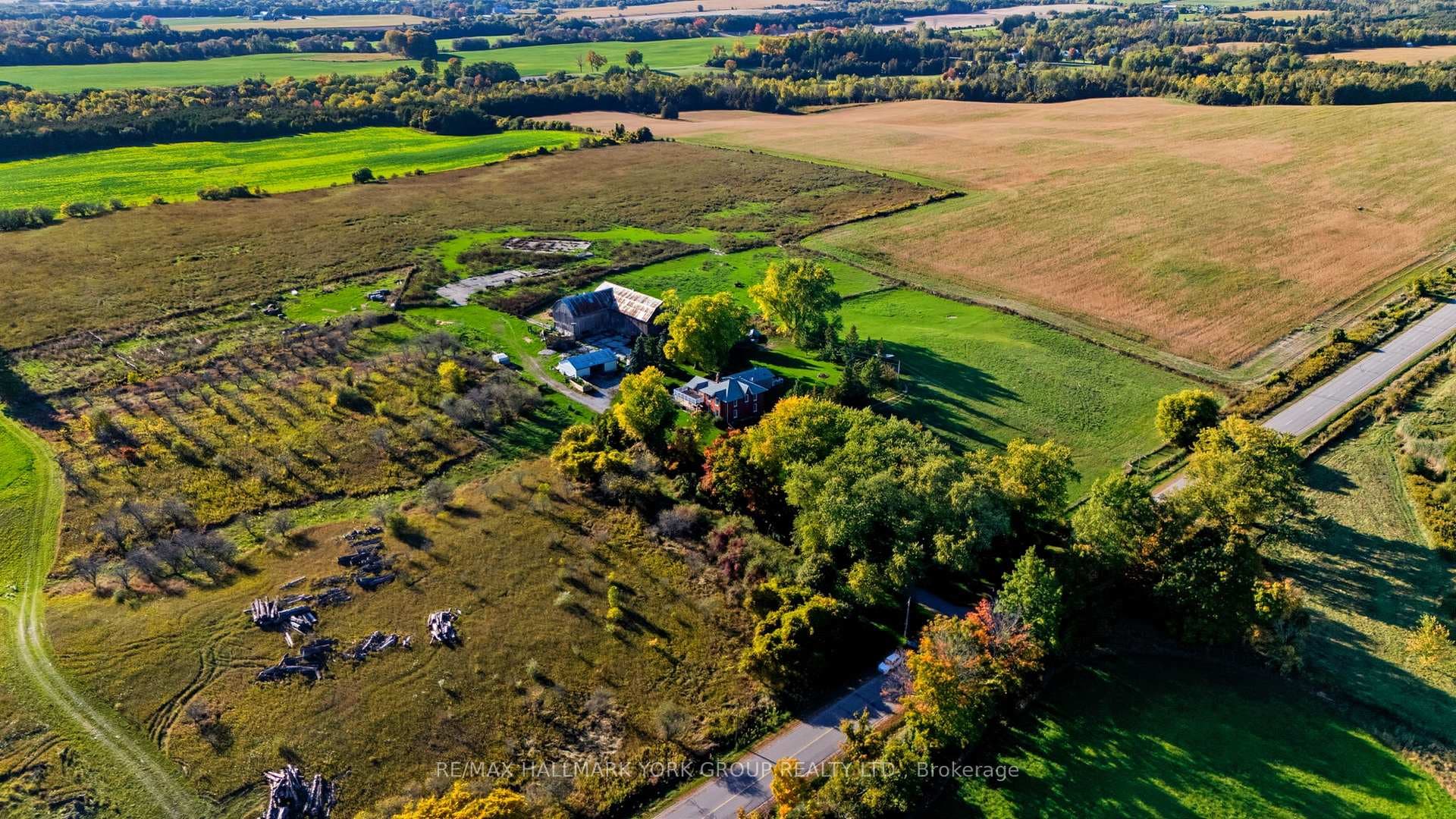 Farmland With Rolling Fields And Tree Lines