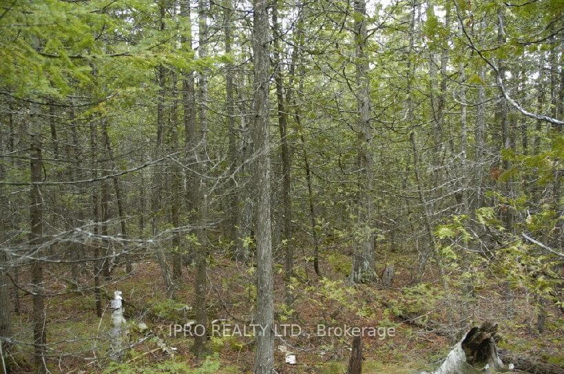308 Ira Lake Road photo 13