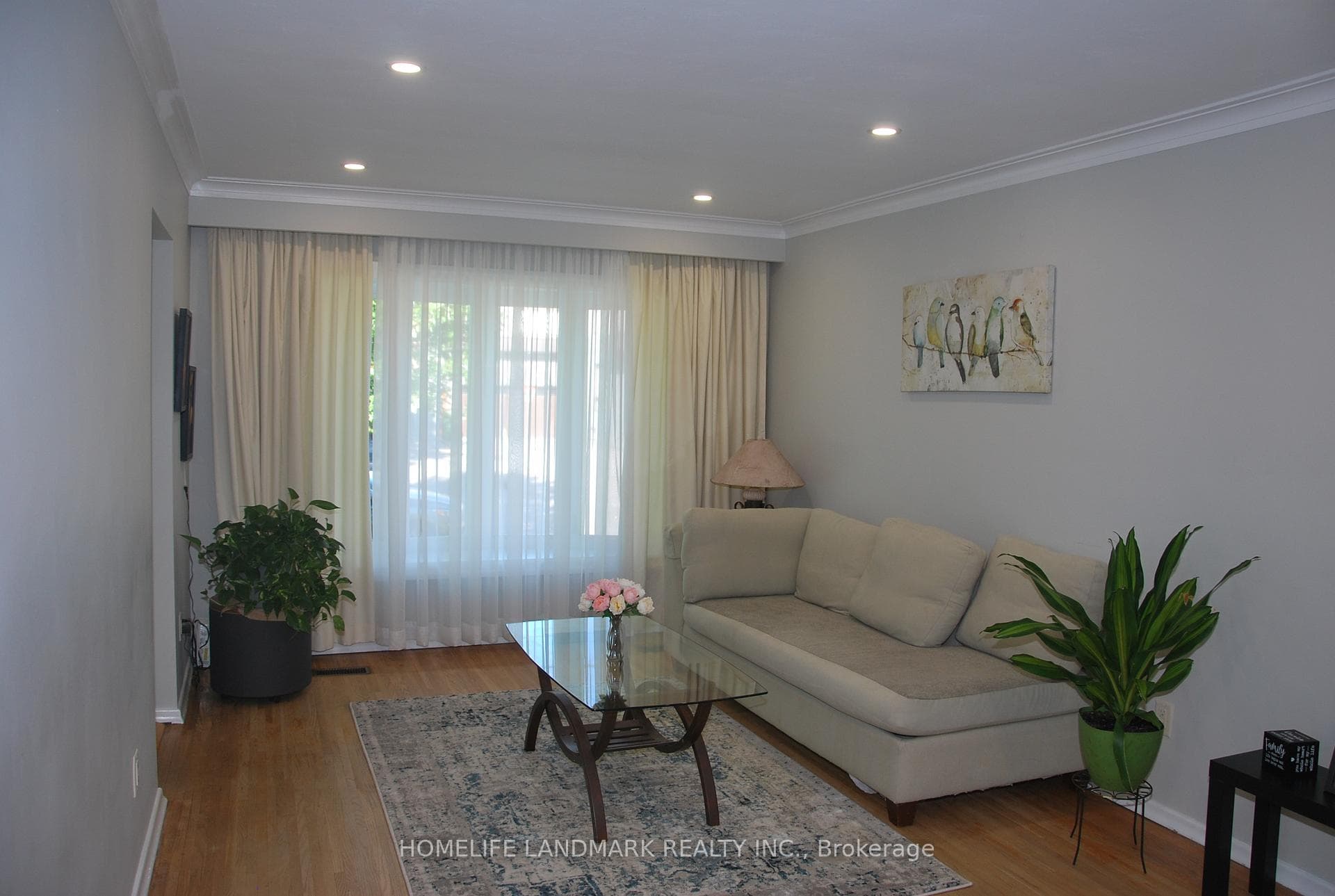14 Cavehill Crescent photo 15