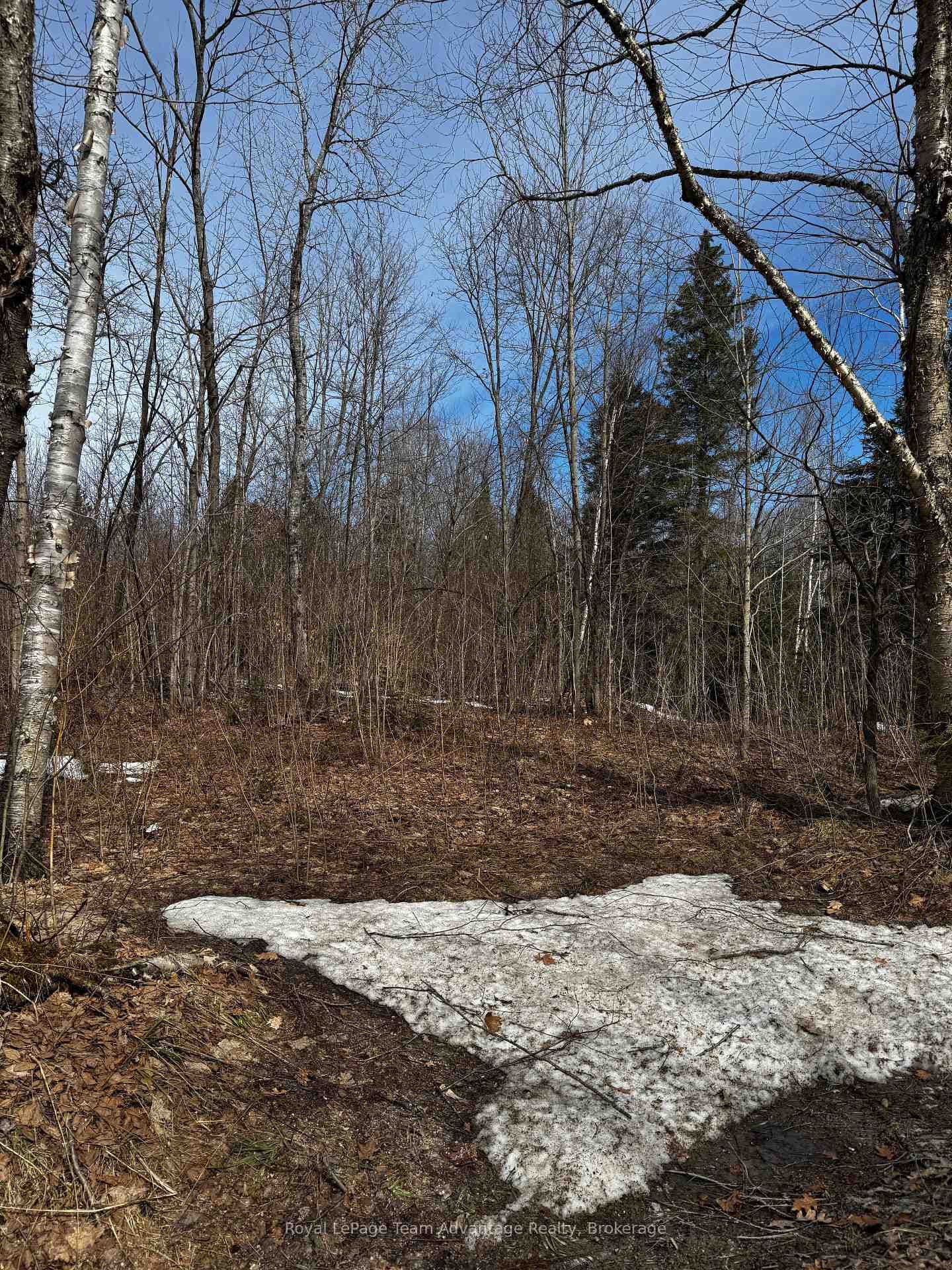Lot 2 Lorimer Lake Road photo 11
