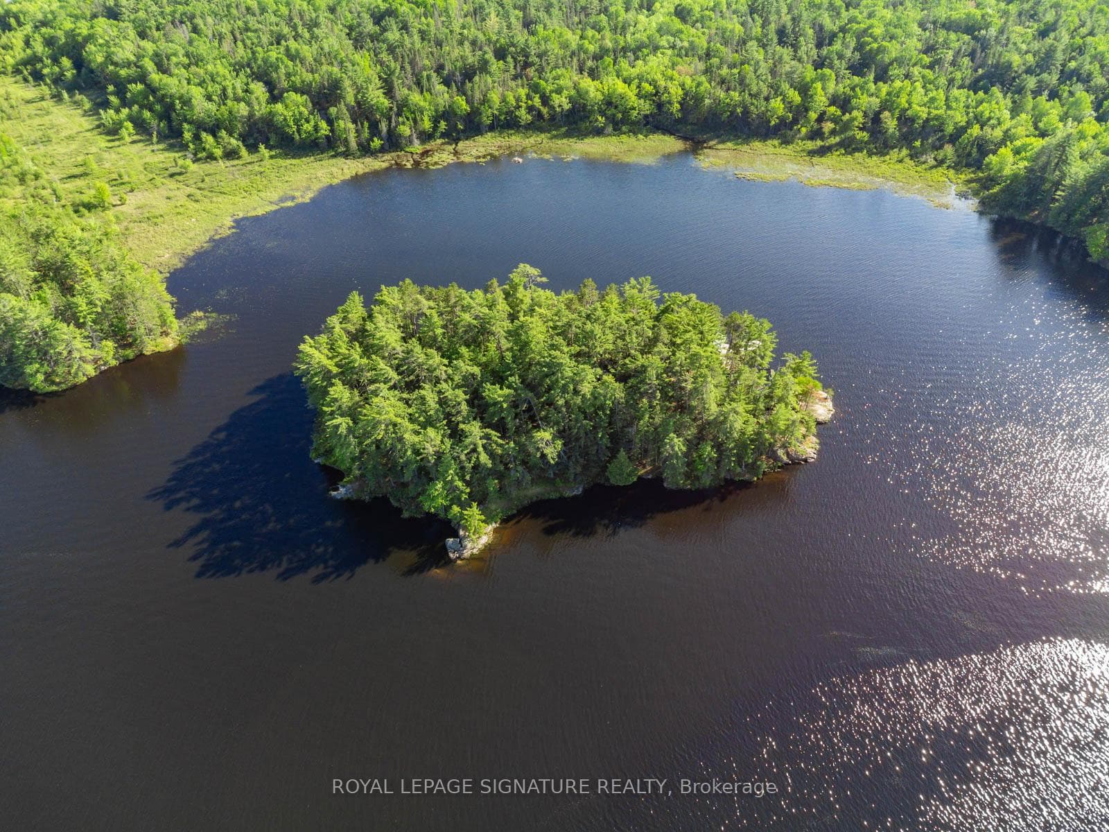 2 Dad's Rest Island photo 3