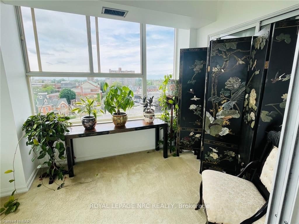 Windows galore for your plants. Behind the screen
