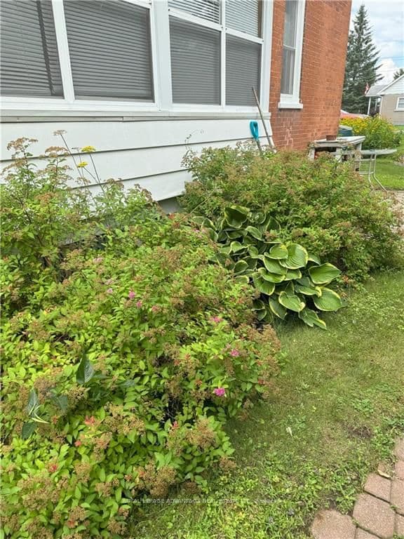 62 WILLIAM Street photo 26