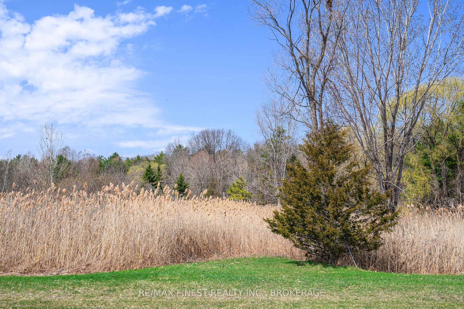 1168 Thousand Island Parkway photo 2