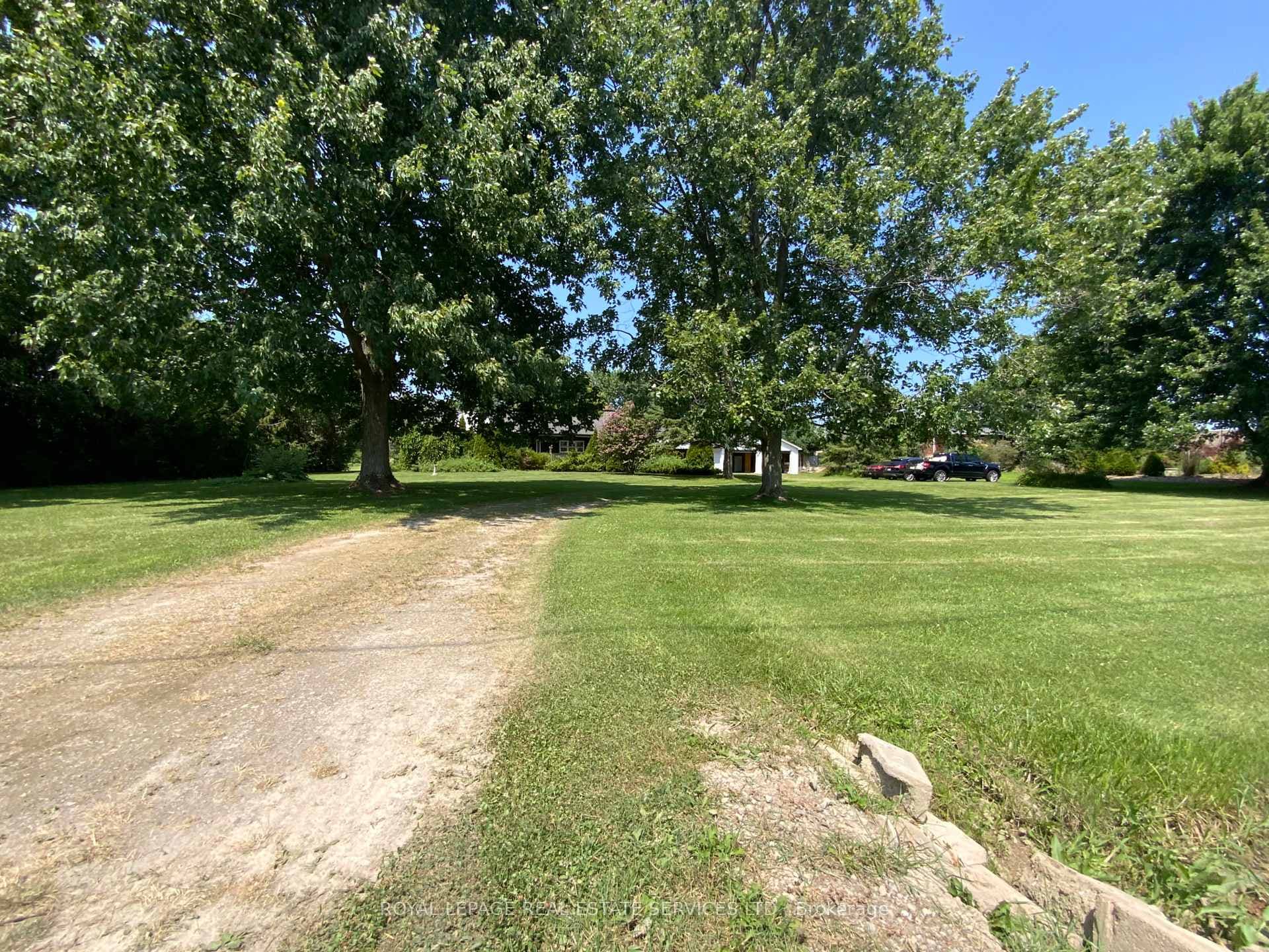 479 Burnhamthorpe Road photo 5