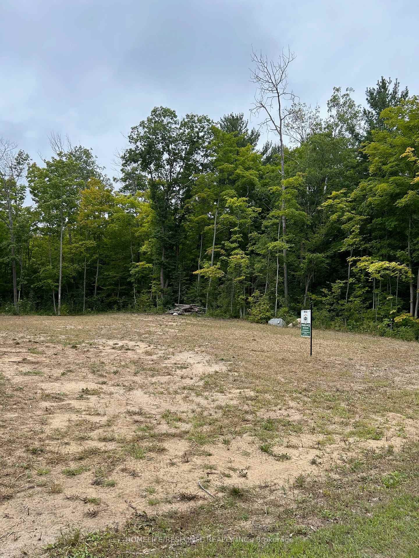 56 Poplar Drive photo 5