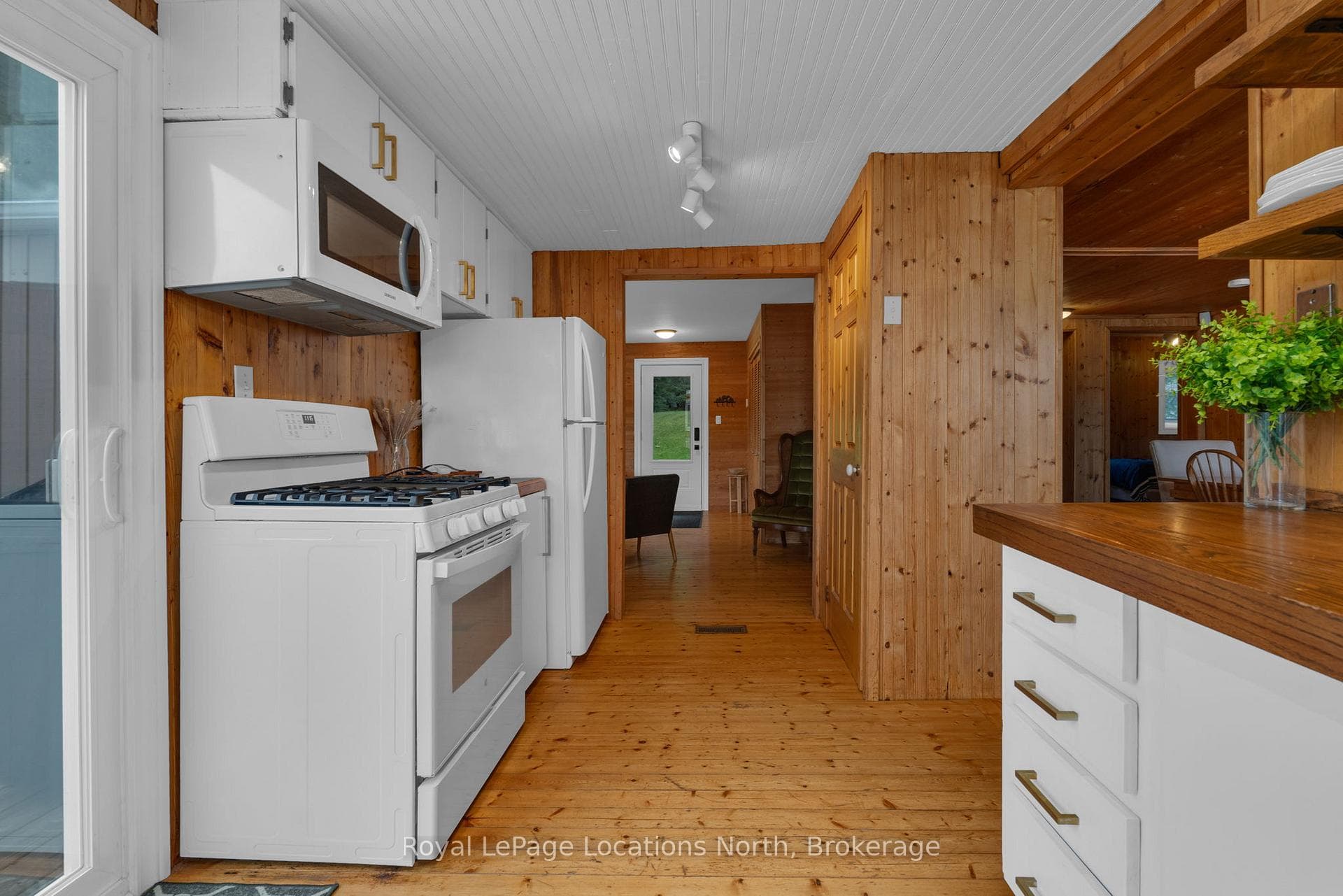 Propane gas stove