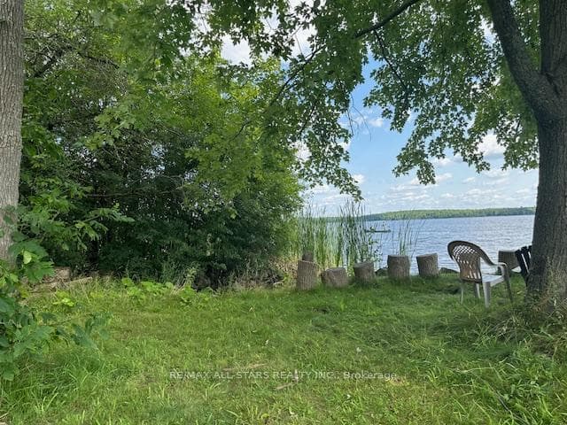 46 Walmac Shores Drive photo 6