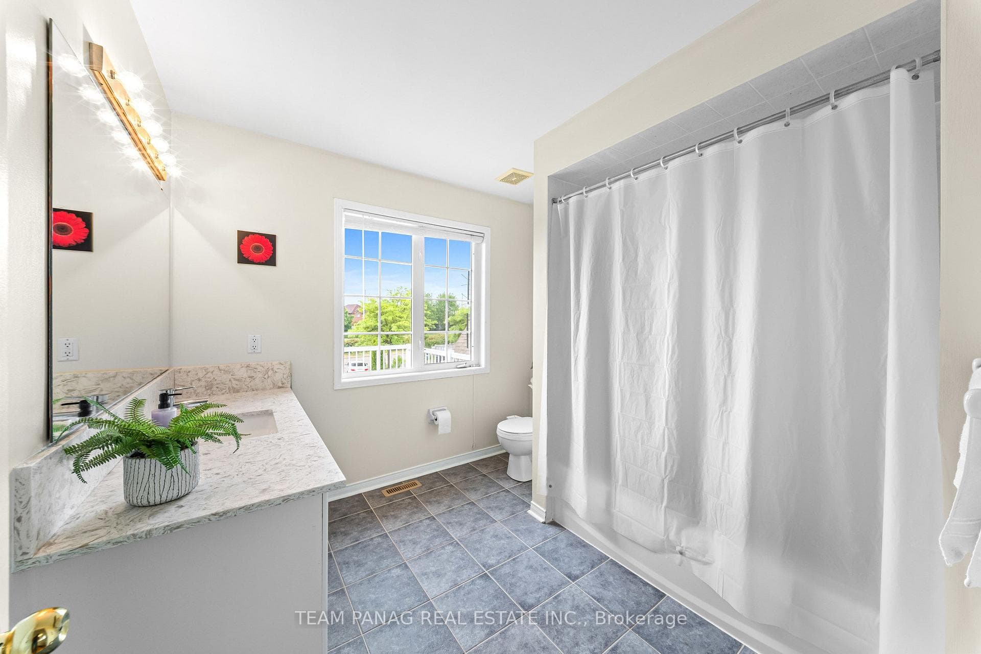 12 Stirrup Court photo 38
