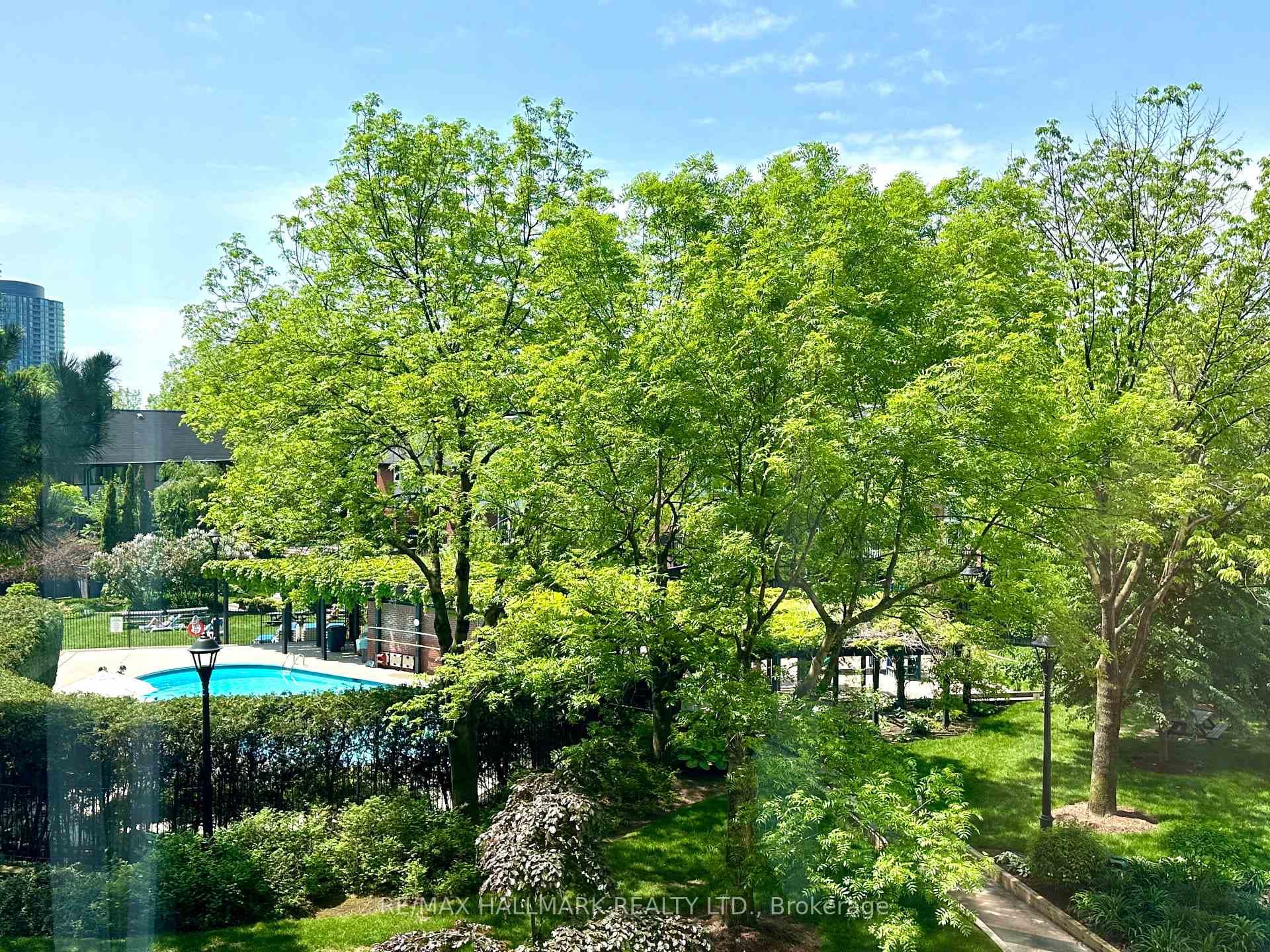 view from the solarium