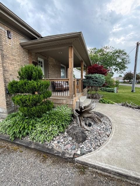 118 Scott Street photo 5