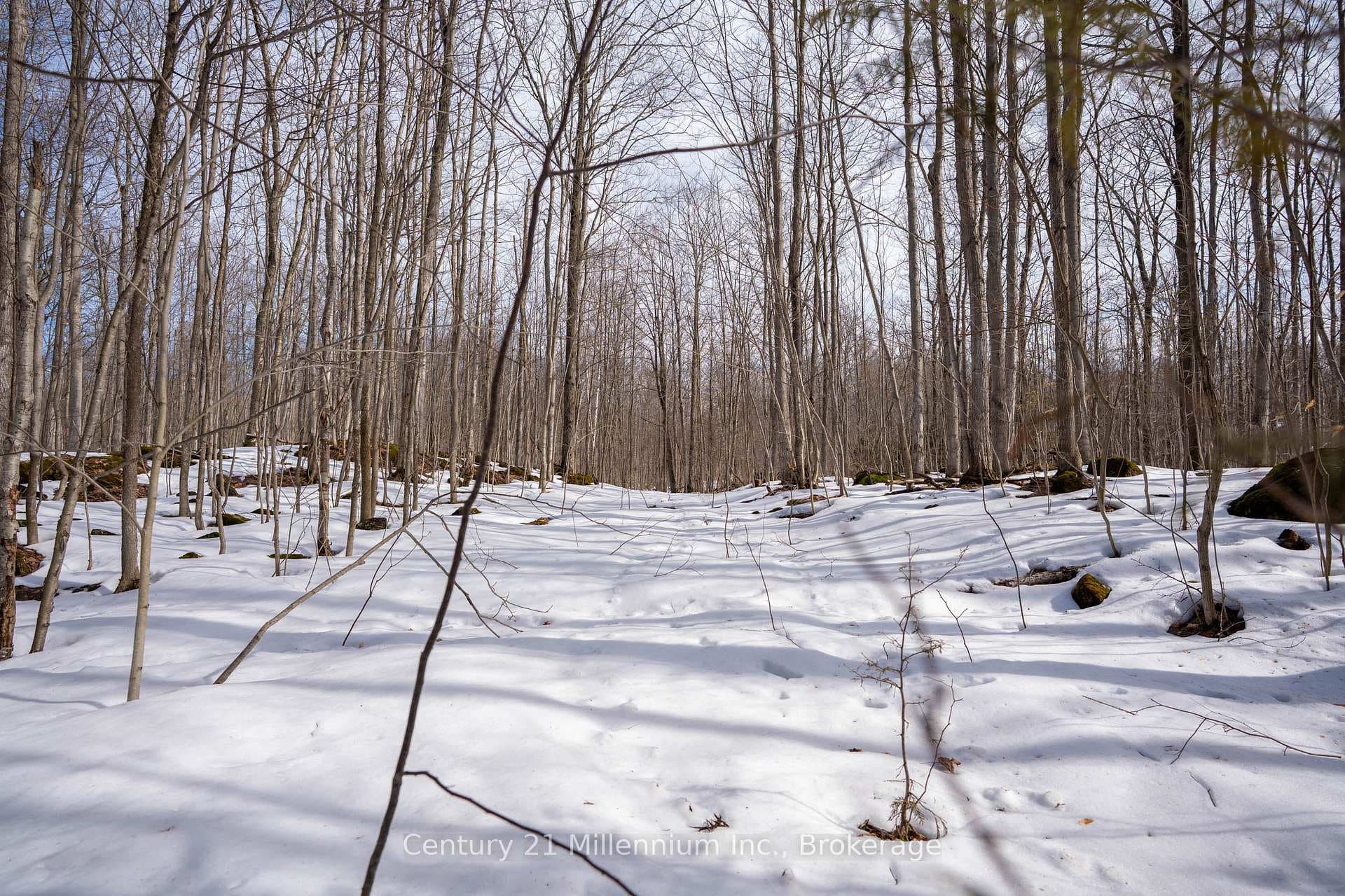 758341 Girl Guide Road photo 45