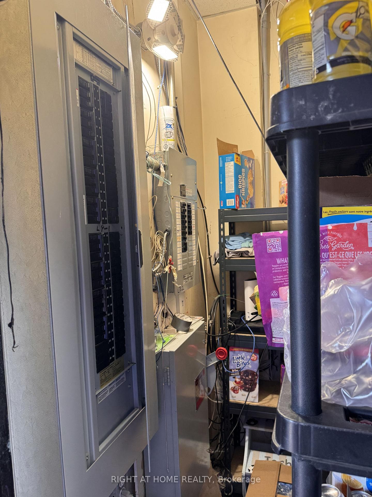 Electrical panel and storage