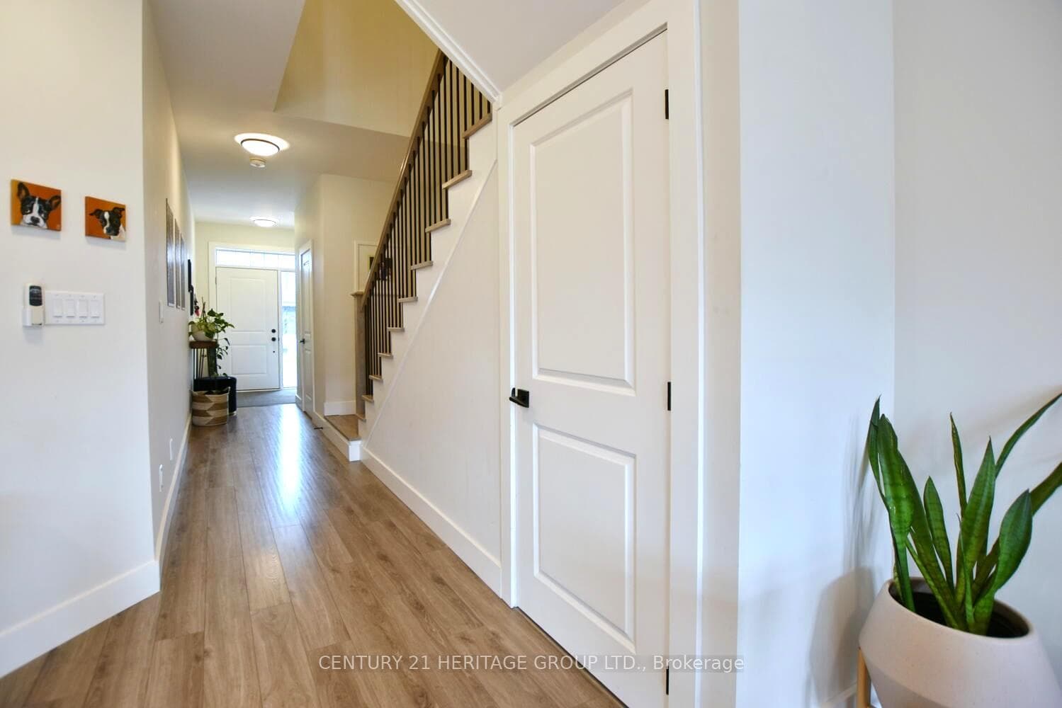 206 Courtland Street photo 4