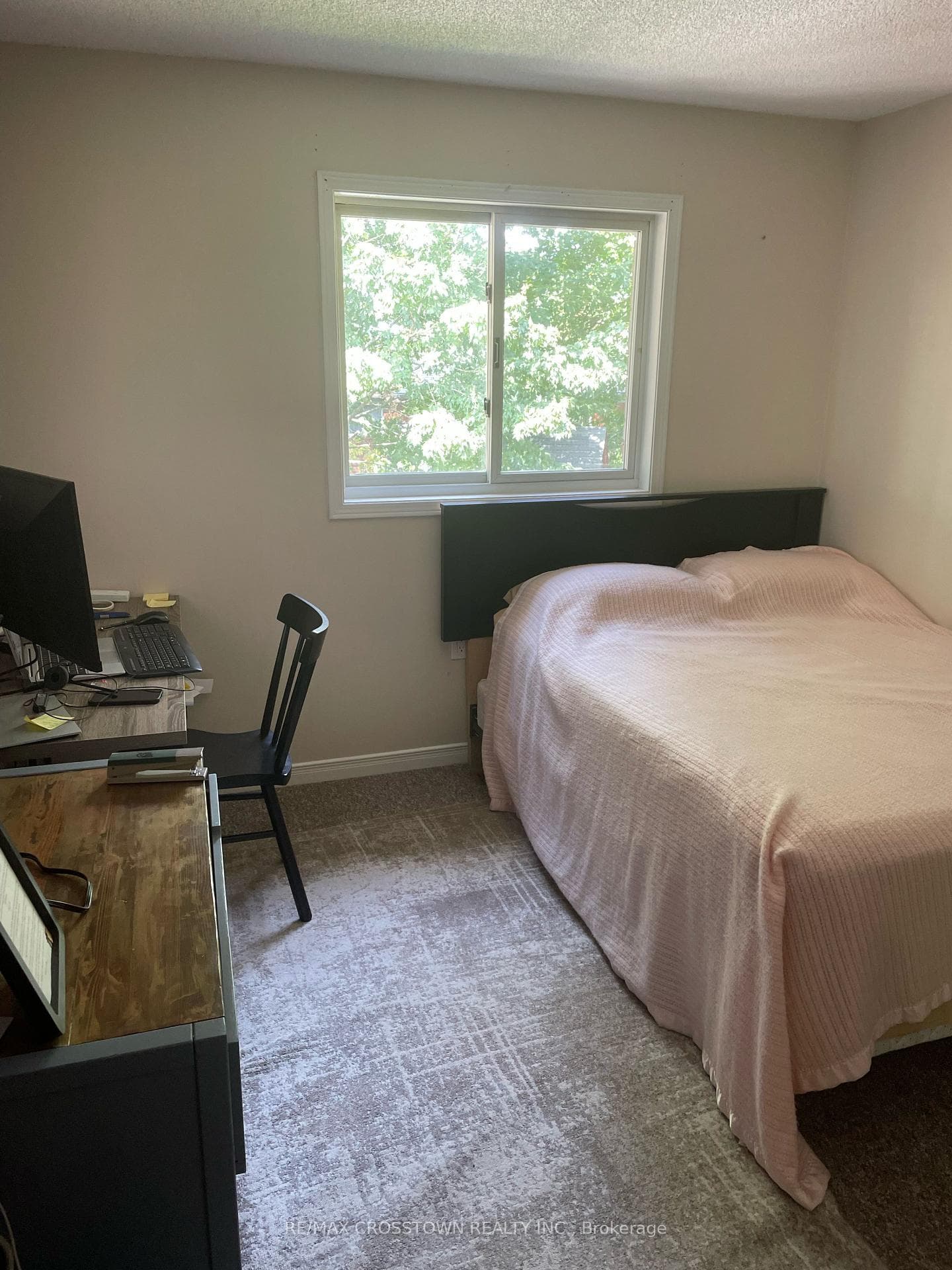 50 Ferguson Drive photo 7