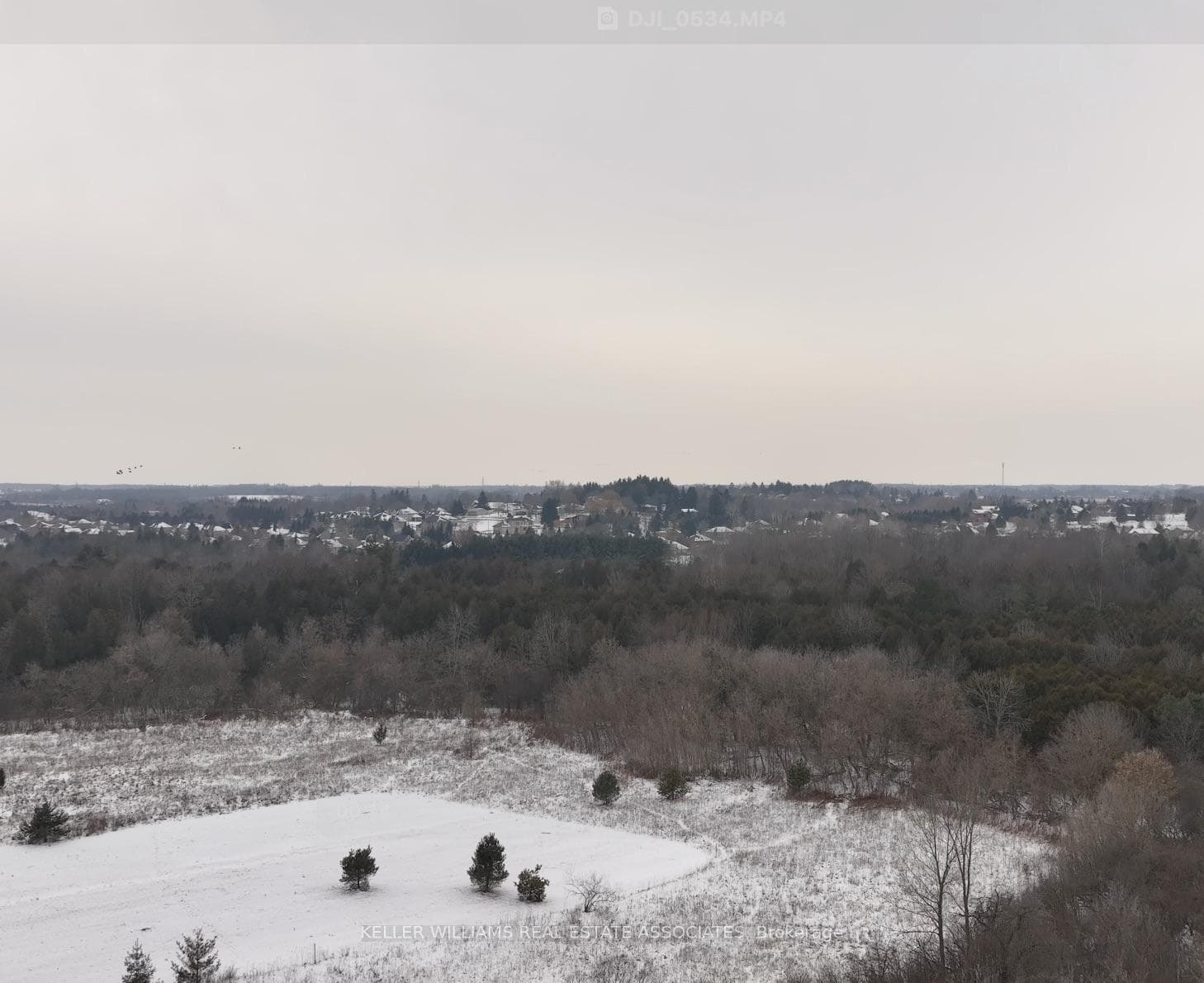 166 Country Club Drive photo 13