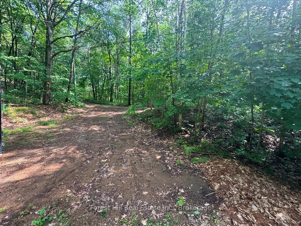 0 Alice Drive photo 41