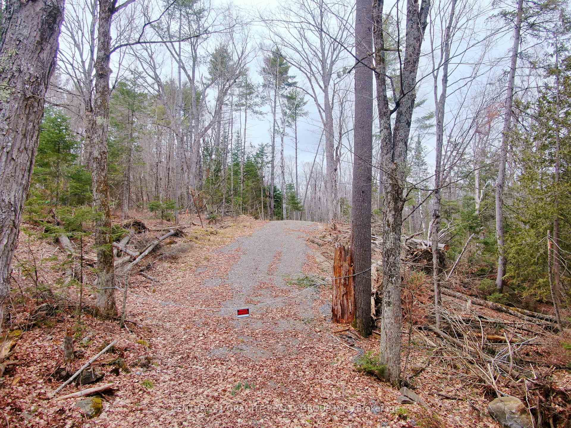 0 Steenburg Lake North Road photo 2