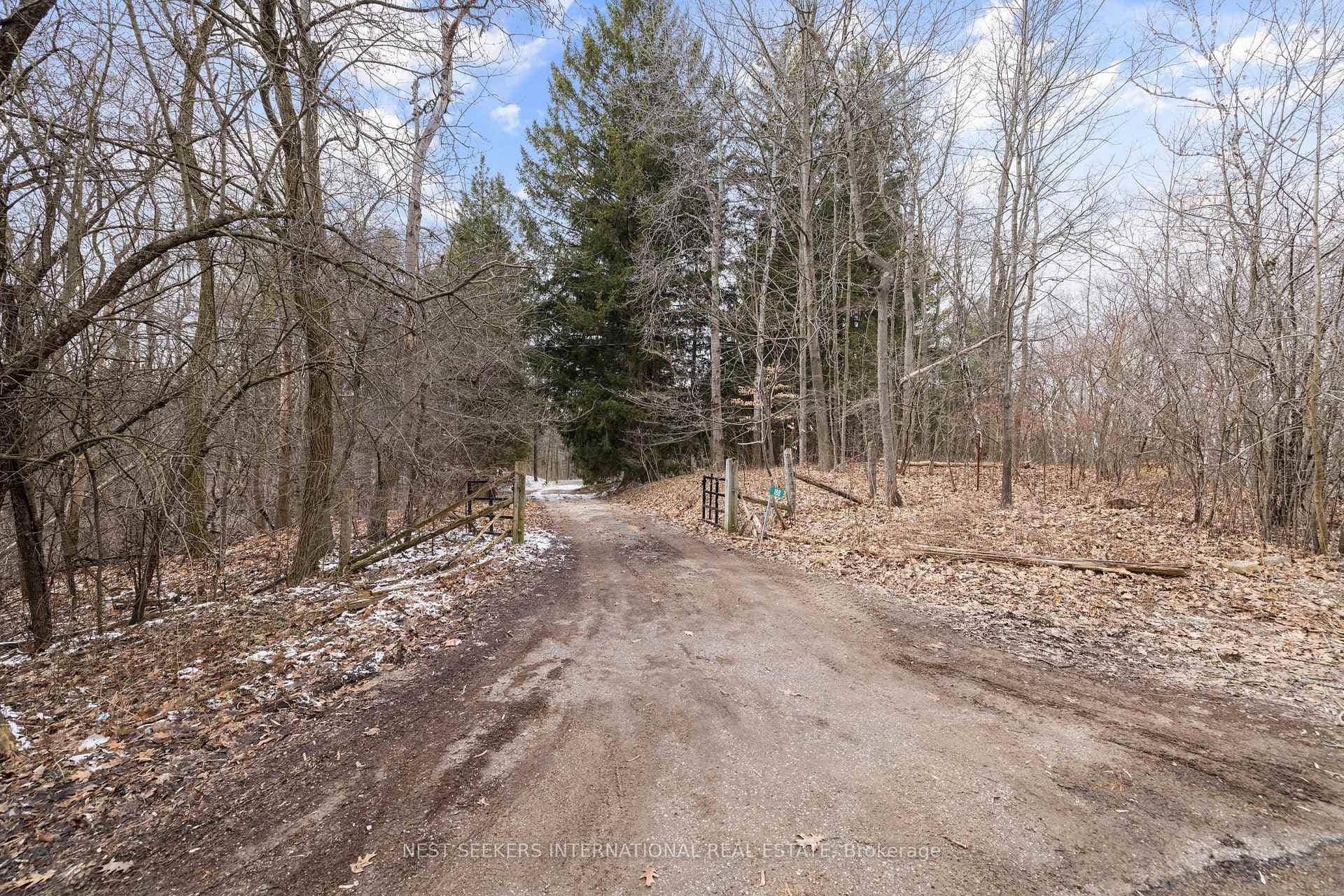 188 Fog Road photo 22