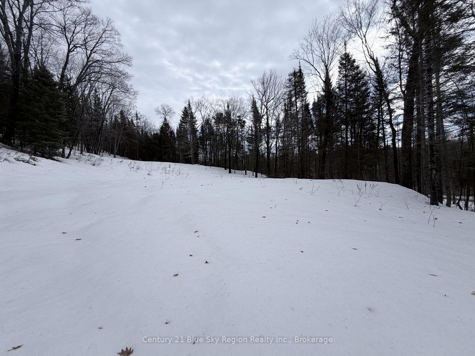 750 Feronia Road photo 6