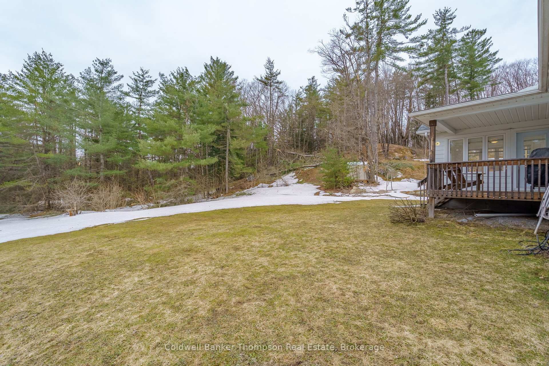 10 Argyll Court photo 43