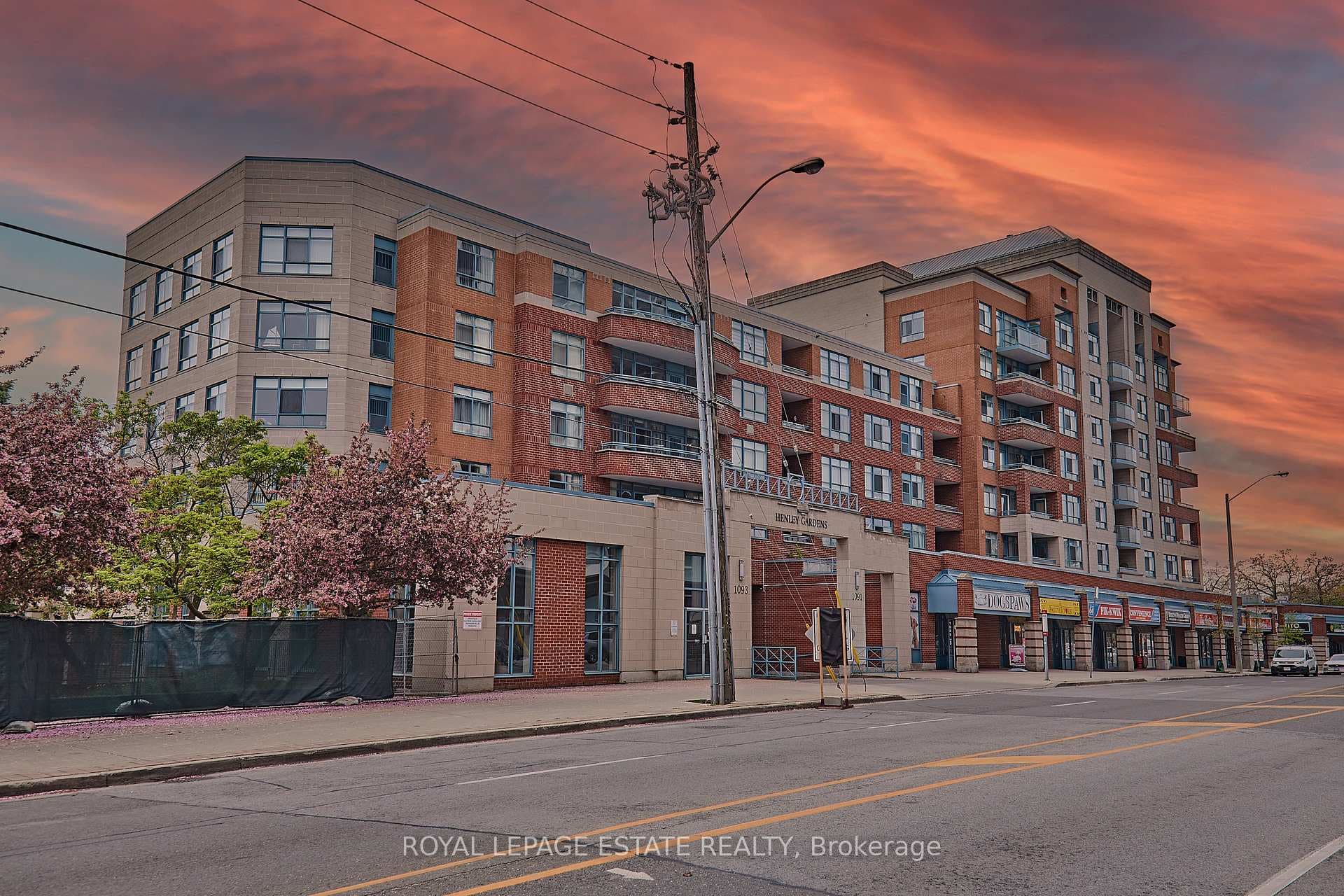Kingston Road View