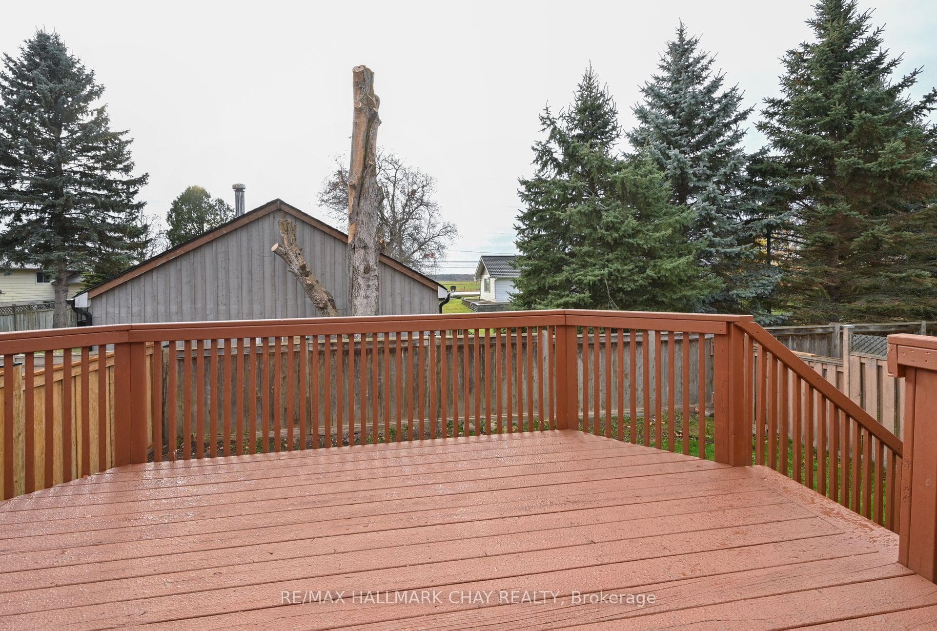 24 Stoneham Street photo 30