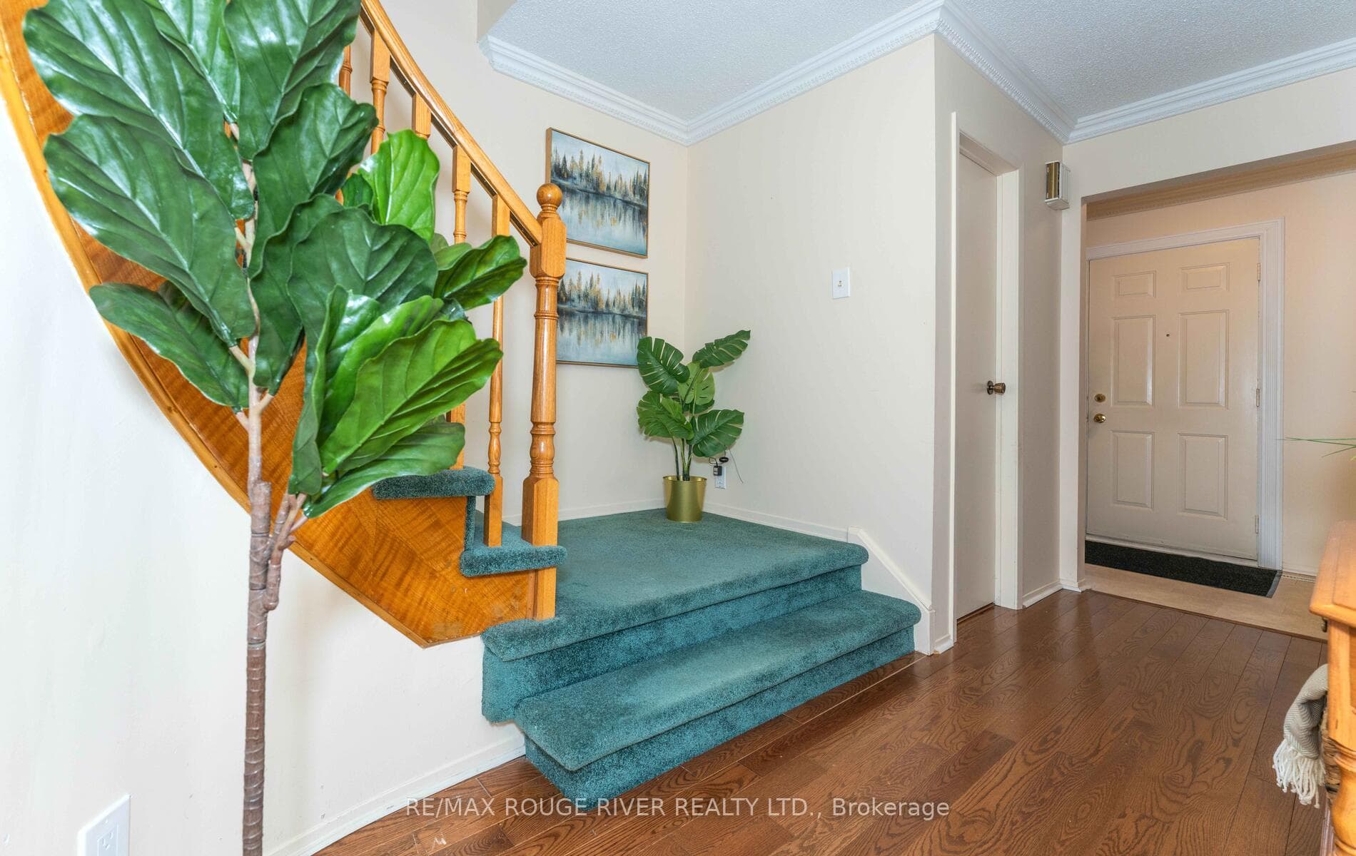 137 Maberley Crescent photo 6