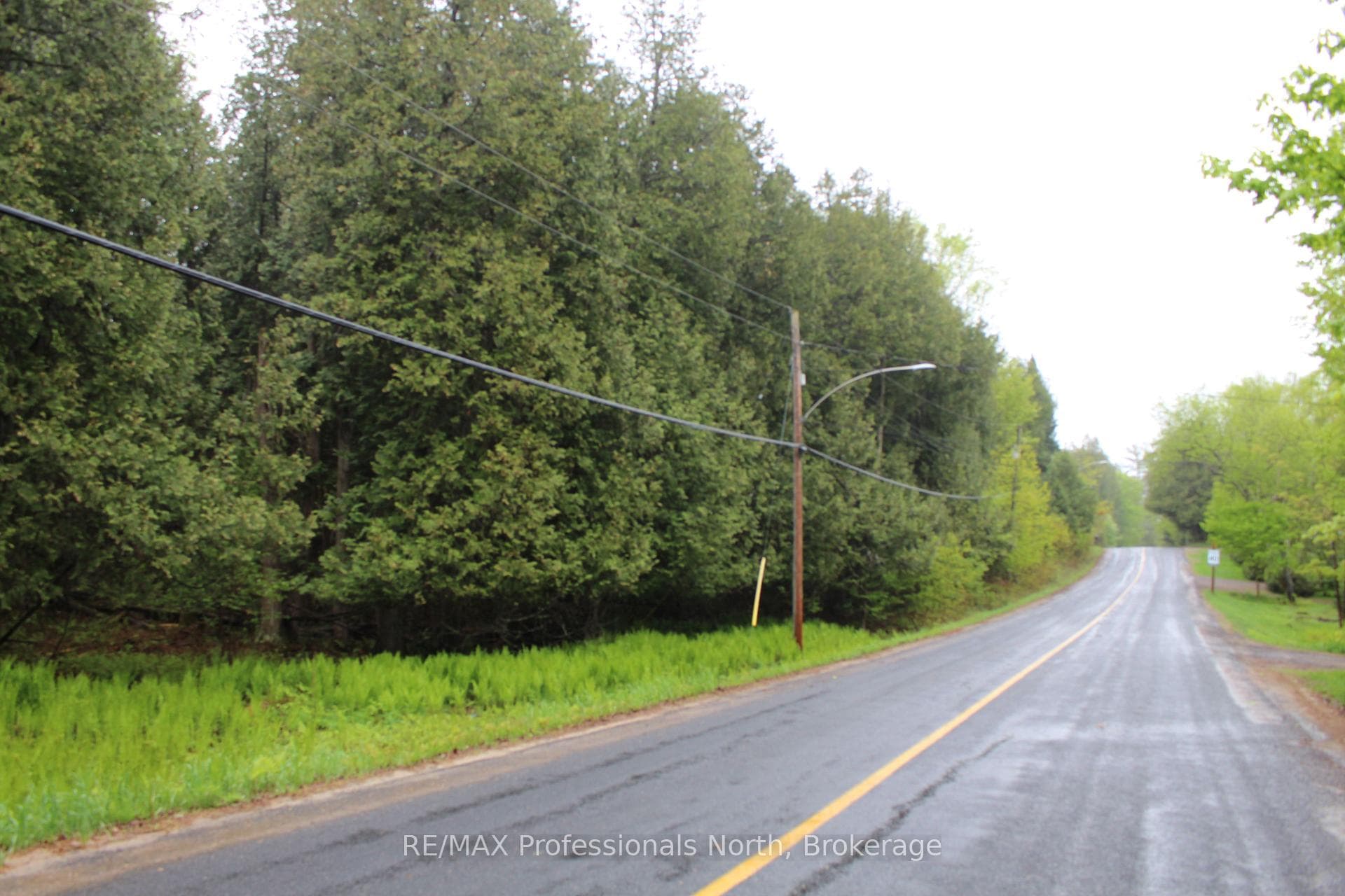 TBD Kashagawigamog Lake Road photo 1